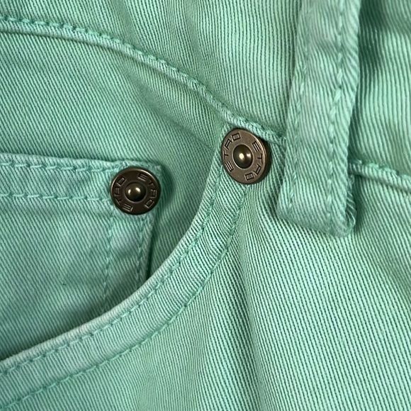 Etro Etro Ponyhair Tag Cotton Mint Branded Leather Straight Leg D Size US 36 / EU 52 - 7 Thumbnail