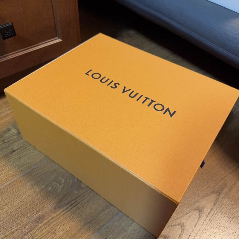 Louis Vuitton Louis Vuitton Trainer Maxi Low Sneakers for All -2508 Size US 8.5 / EU 41-42 - 6 Thumbnail