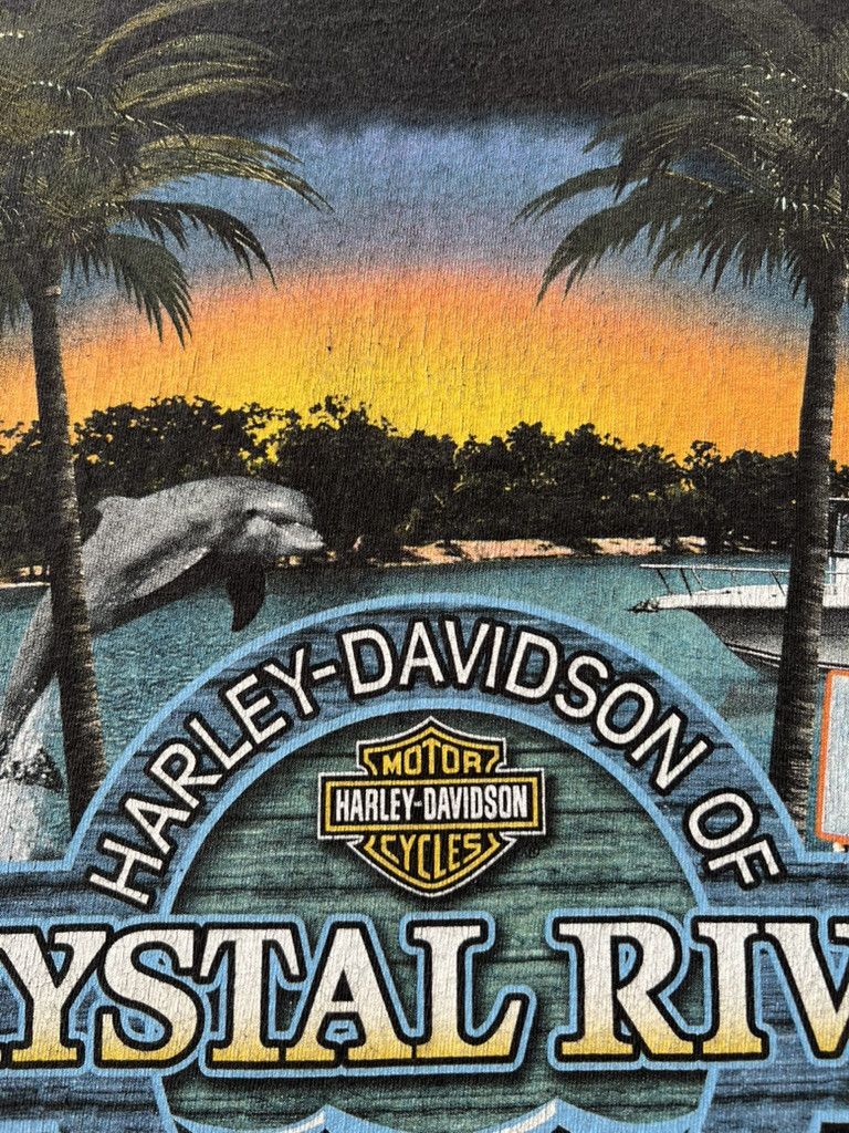 Harley Davidson Vintage 2009 Harley Davidson Motorcycle Florida Black Tshirt Size US L / EU 52-54 / 3 - 13 Thumbnail