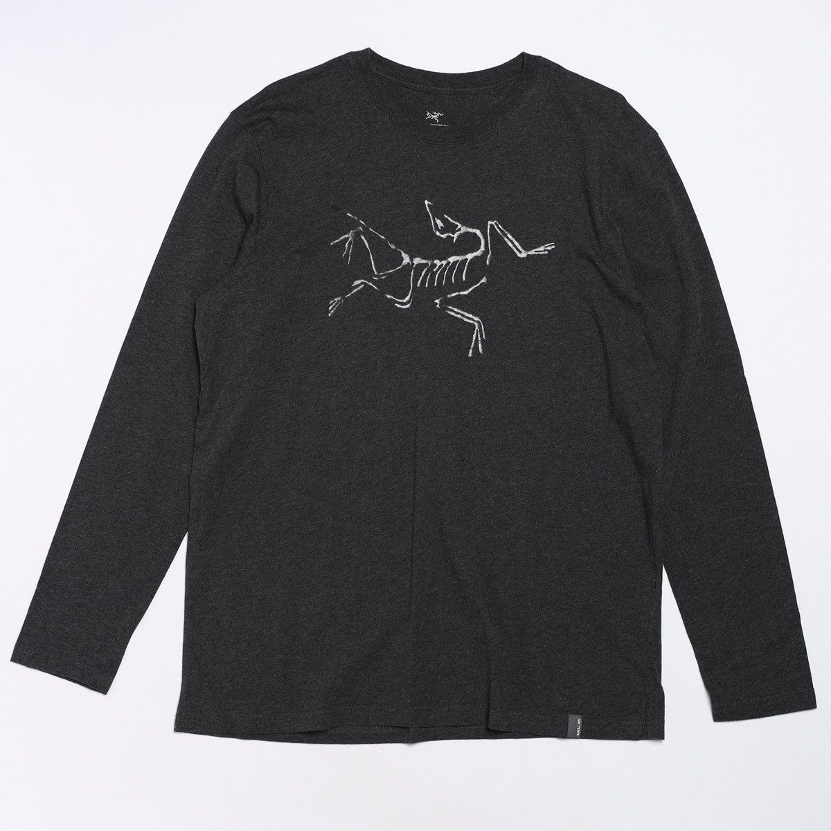 Arc'teryx Arcteryx Big Logo Long sleeve Tee Size US M / EU 48-50 / 2 - 1 Thumbnail