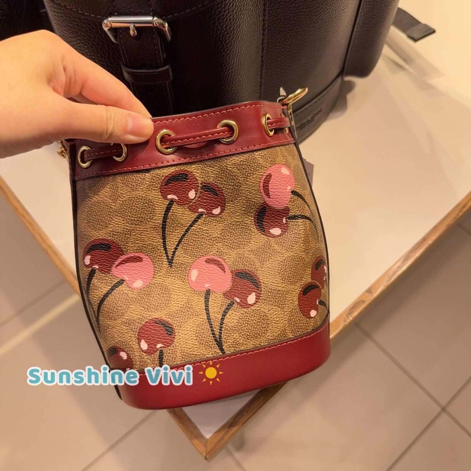 Coach Coach Mini Bucket Bag In Signature Canvas Cherry CY738 NWT Size ONE SIZE - 2 Thumbnail