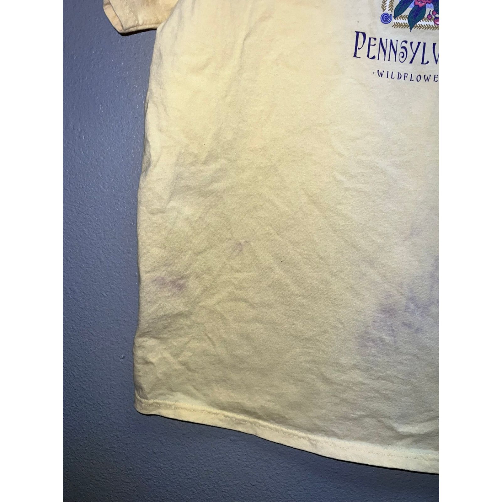 Anvil Women's Vintage Pennsylvania Shirt Top Tee Stained Stain L Size L / US 10 / IT 46 - 5 Thumbnail