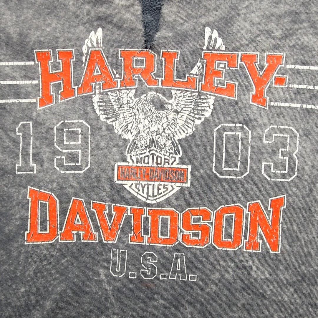 Harley Davidson Harley Davidson Sweatshirt Acid Wash Graphic Gray XL Size US XL / EU 56 / 4 - 3 Thumbnail