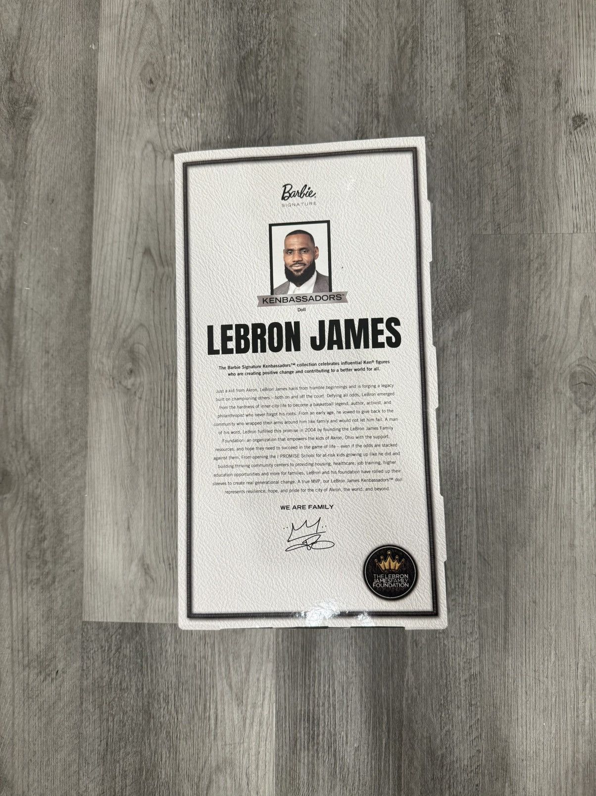 Nike Barbie Signature LeBron James Kenbassadors Doll Mattel Size ONE SIZE - 2 Thumbnail