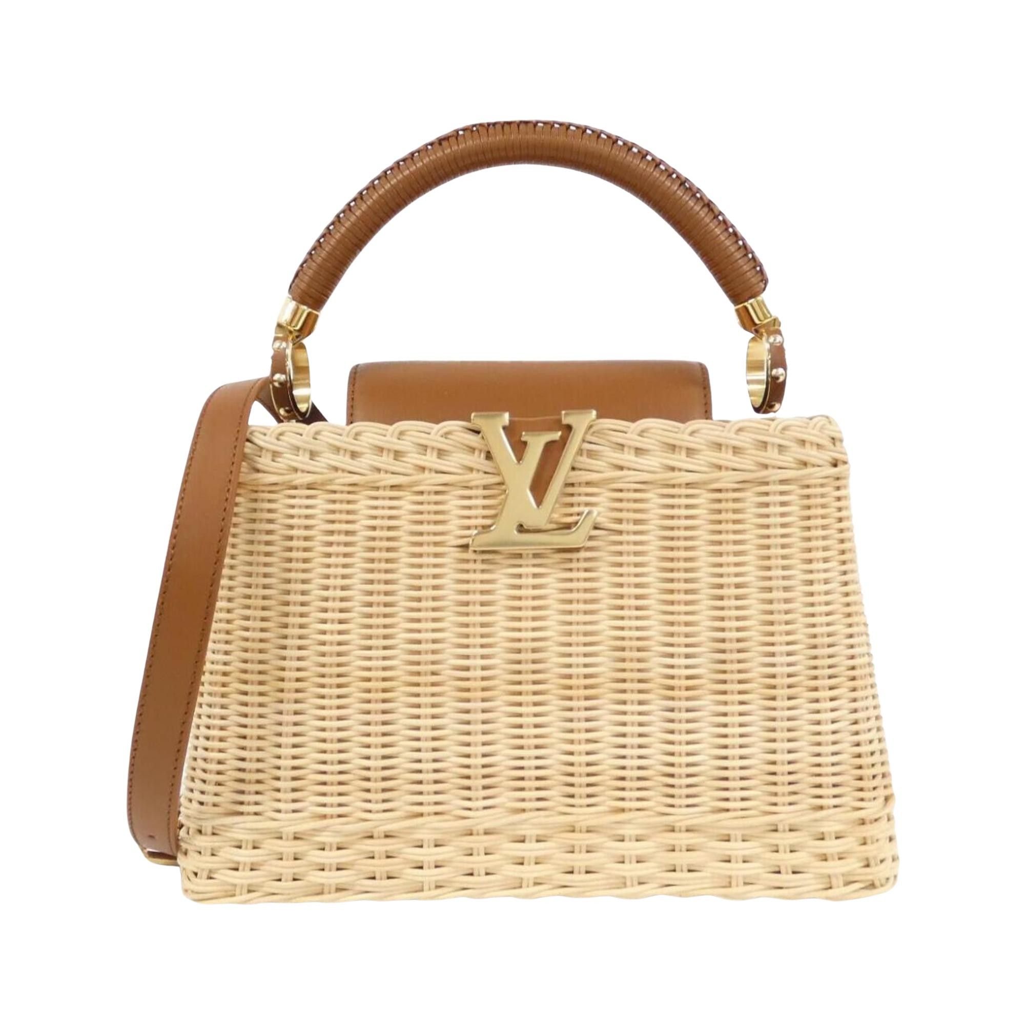 Louis Vuitton Louis Vuitton Capucines handbag Size ONE SIZE - 1 Thumbnail