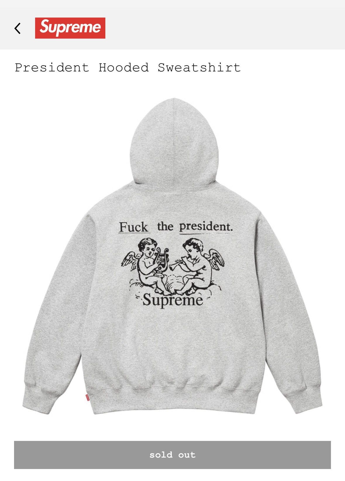 Supreme Supreme President Hooded Sweatshirt FW25 Size US XL / EU 56 / 4 - 1 Thumbnail