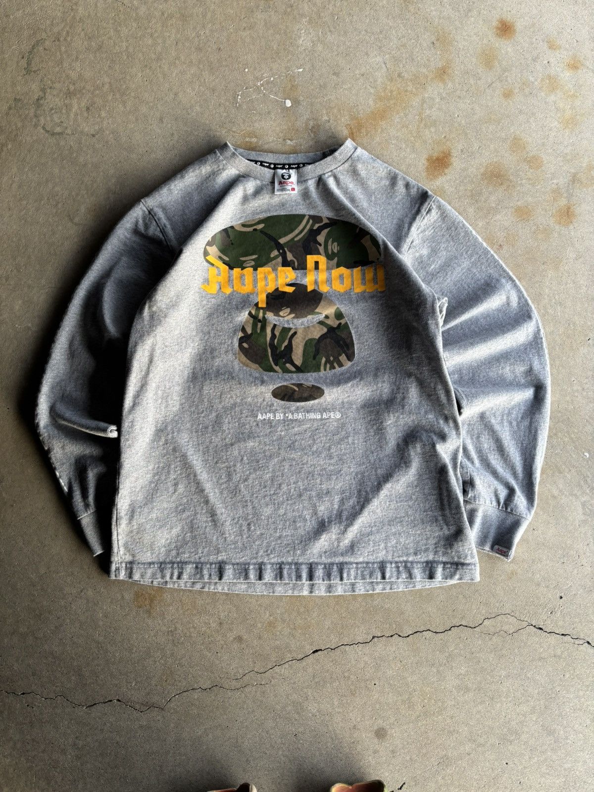 Crazy Bape Grey Boxy Aape Row Grunge Y2K Style Longsleeve
