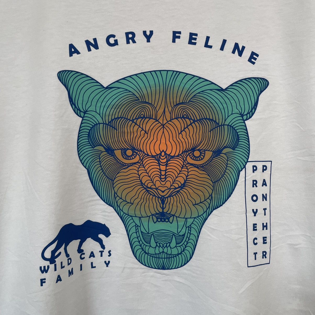 Zara Proyect Panther Crop T Shirt Size US S / EU 44-46 / 1 - 2 Thumbnail