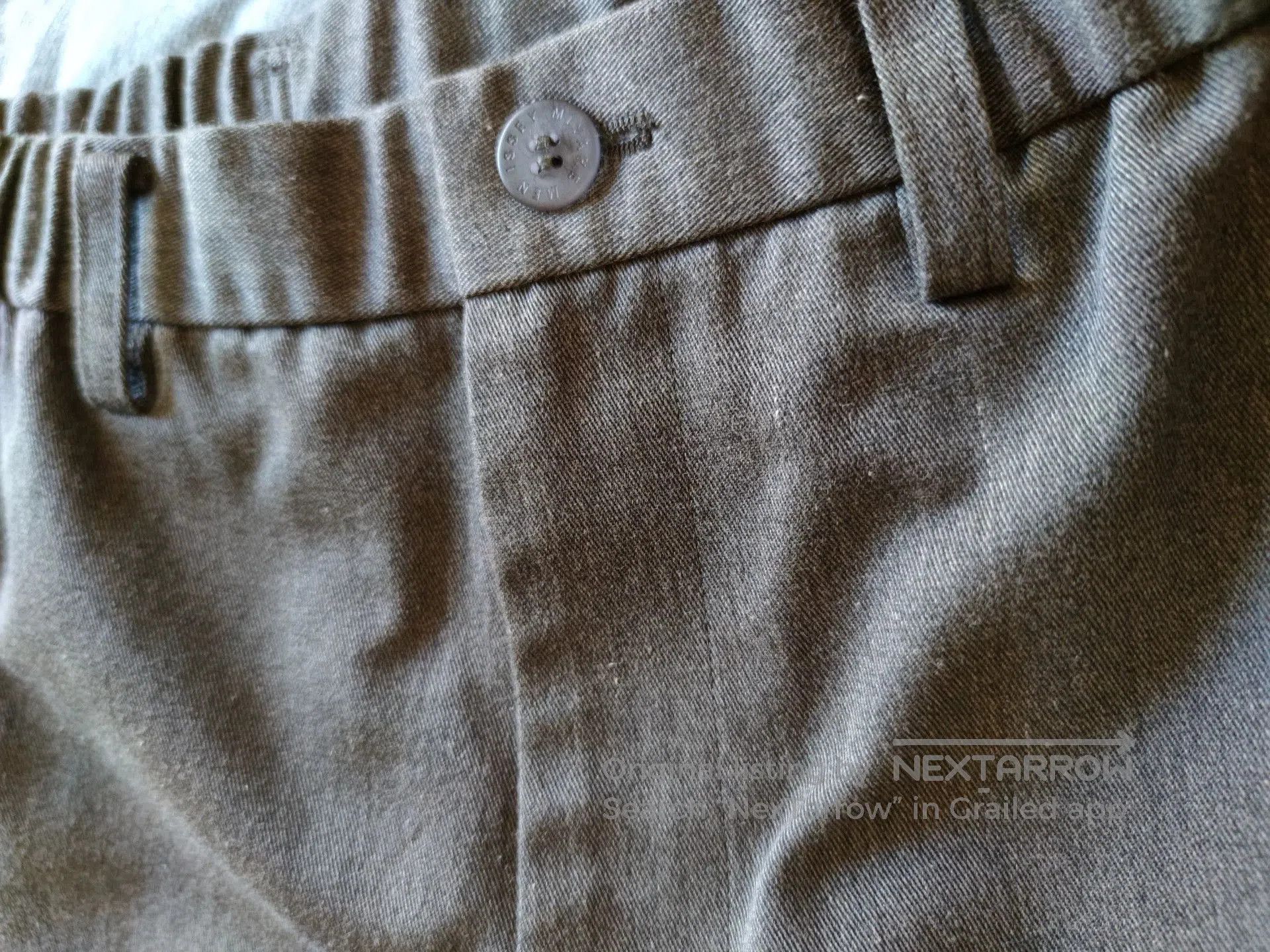 Issey Miyake Issey Miyake Men Gray Pleated Trousers. Size US 32 / EU 48 - 1 Thumbnail