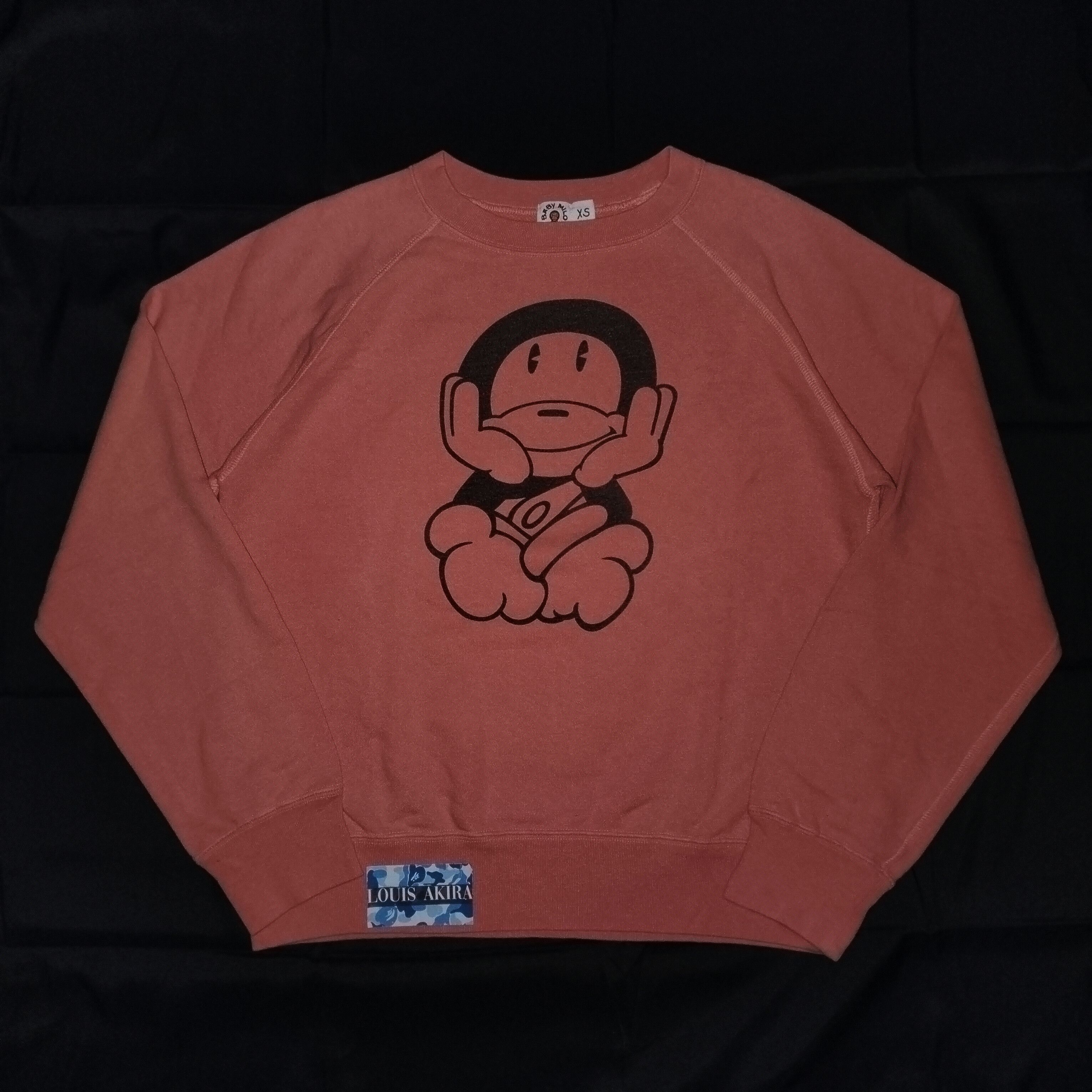 Bape × Kaws Vintage 2005 baby milo kaws hoodie | Grailed