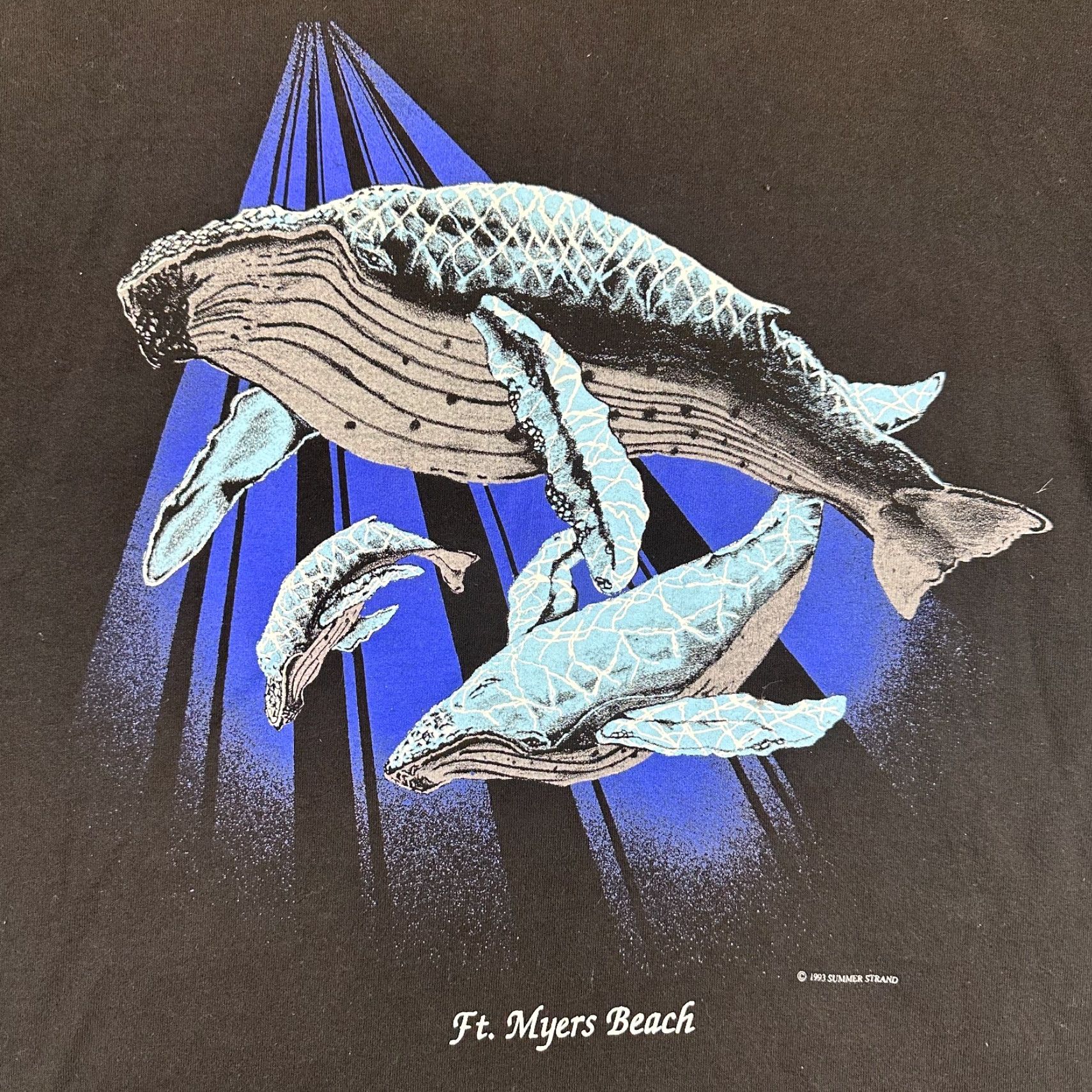 Fruit Of The Loom VINTAGE Fruit of the Loom T-Shirt Mens XL Black 90s Whales Nature USA Made Graphic Print Crew Neck Short Sleeve - 90s, Animals, Nature Size US XL / EU 56 / 4 - 3 Thumbnail