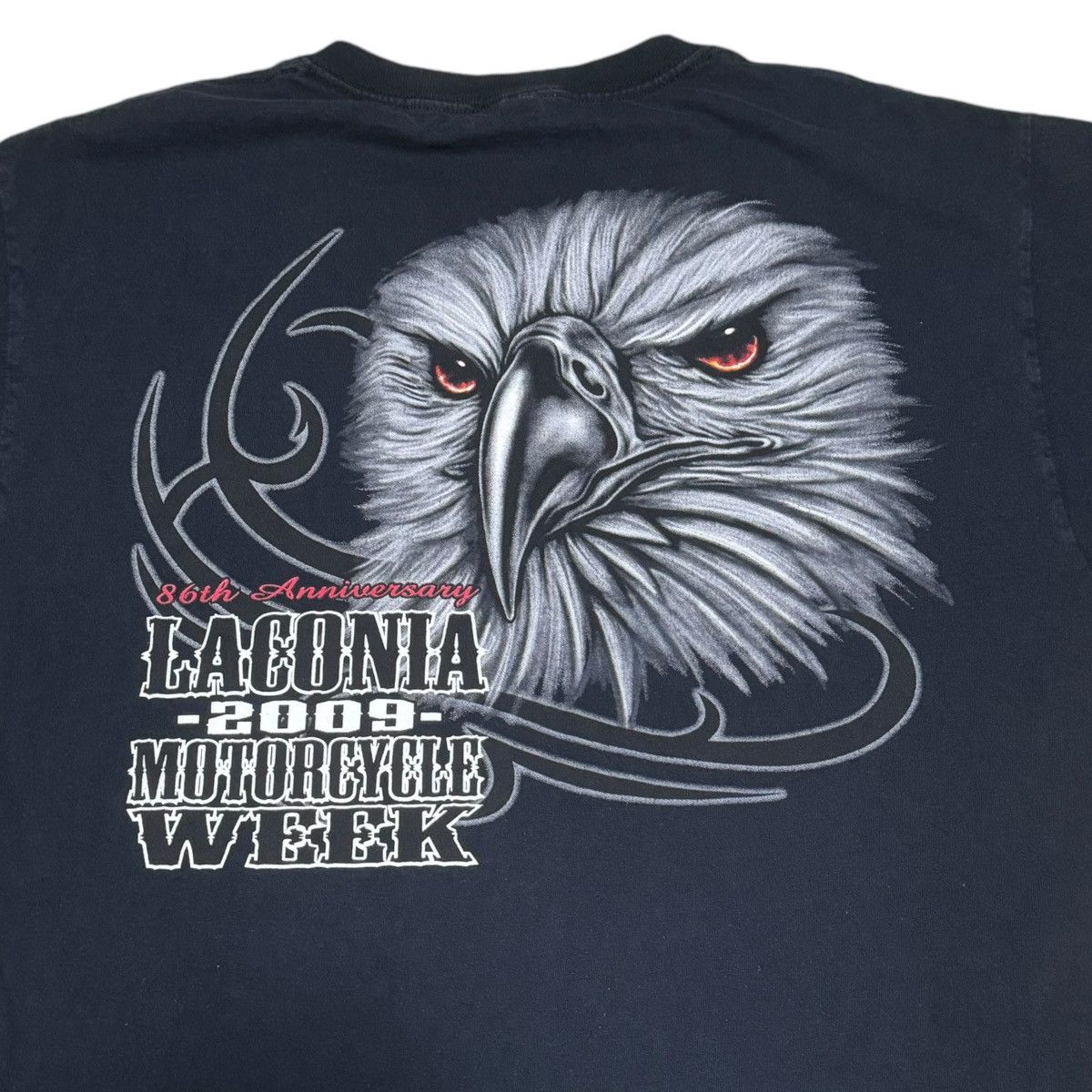 Fruit Of The Loom Fruit of the Loom Daytona Beach 2009 Bike Week Shirt Adult L Size US L / EU 52-54 / 3 - 2 Thumbnail
