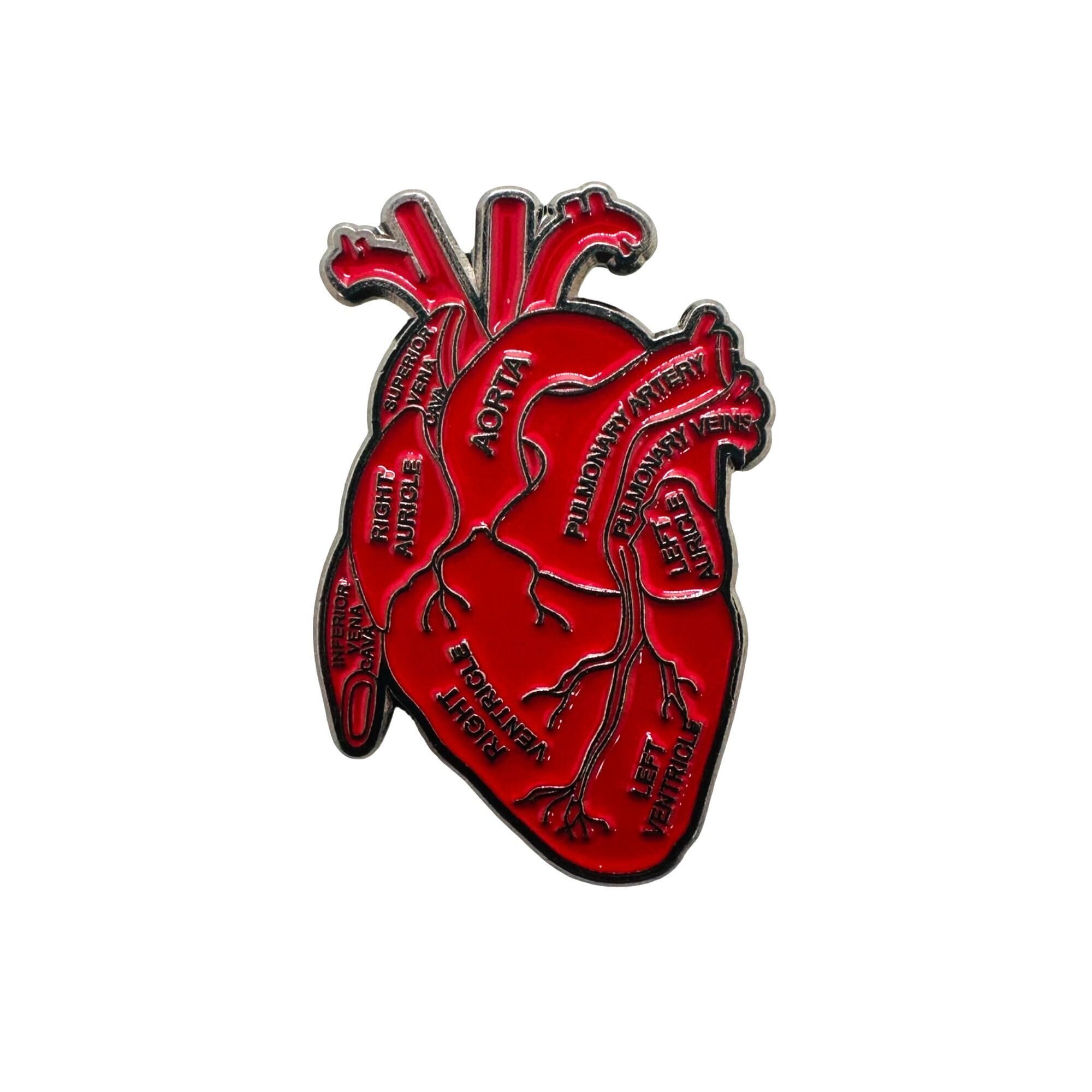 Other Anatomical Human Heart Enamel Pin Brooch Red Heart Organ Lap Size ONE SIZE - 5 Thumbnail