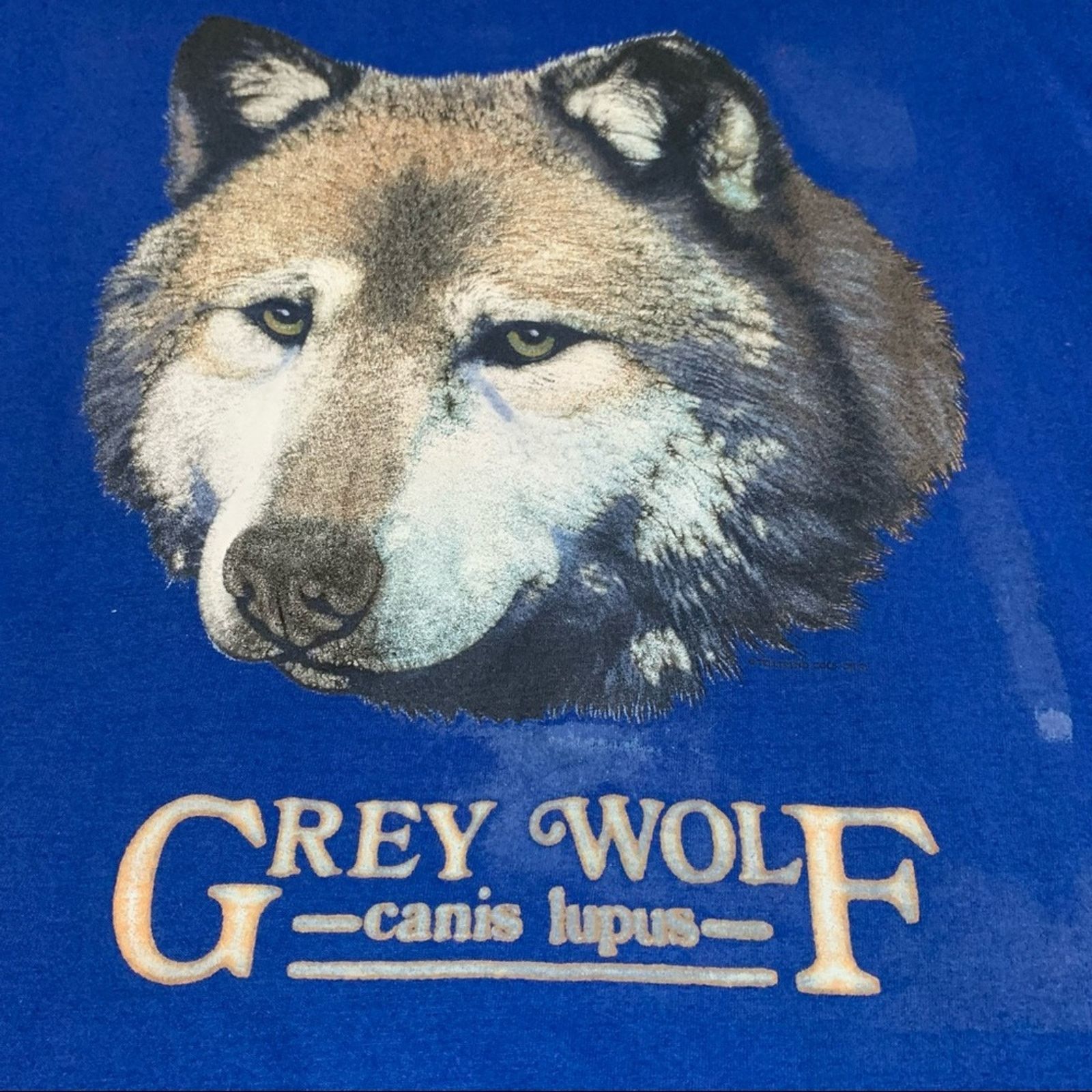 Vintage VINTAGE GREY WOLF MEGA PRINT NATURE TEE SHIRT MENS SIZE XL Size US XL / EU 56 / 4 - 2 Thumbnail