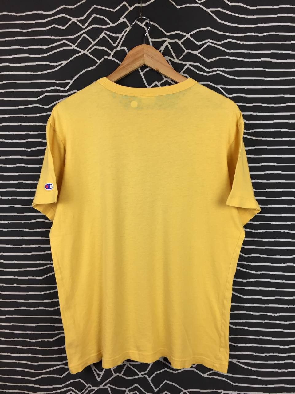 Champion Champion American Athletic Apparel Northern Springdale Tee Size US L / EU 52-54 / 3 - 5 Thumbnail