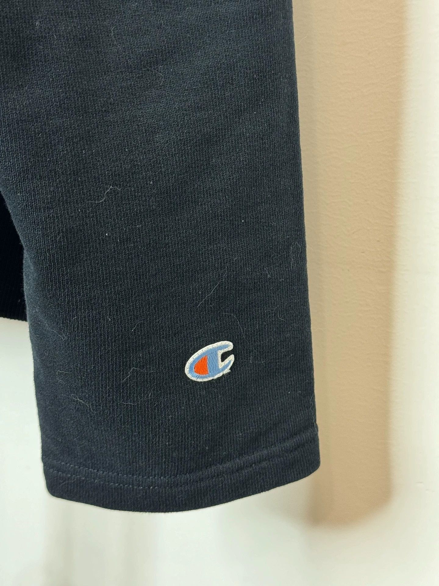 Vetements Vetements x Champion 17SS Hoodie M Size US M / EU 48-50 / 2 - 3 Thumbnail