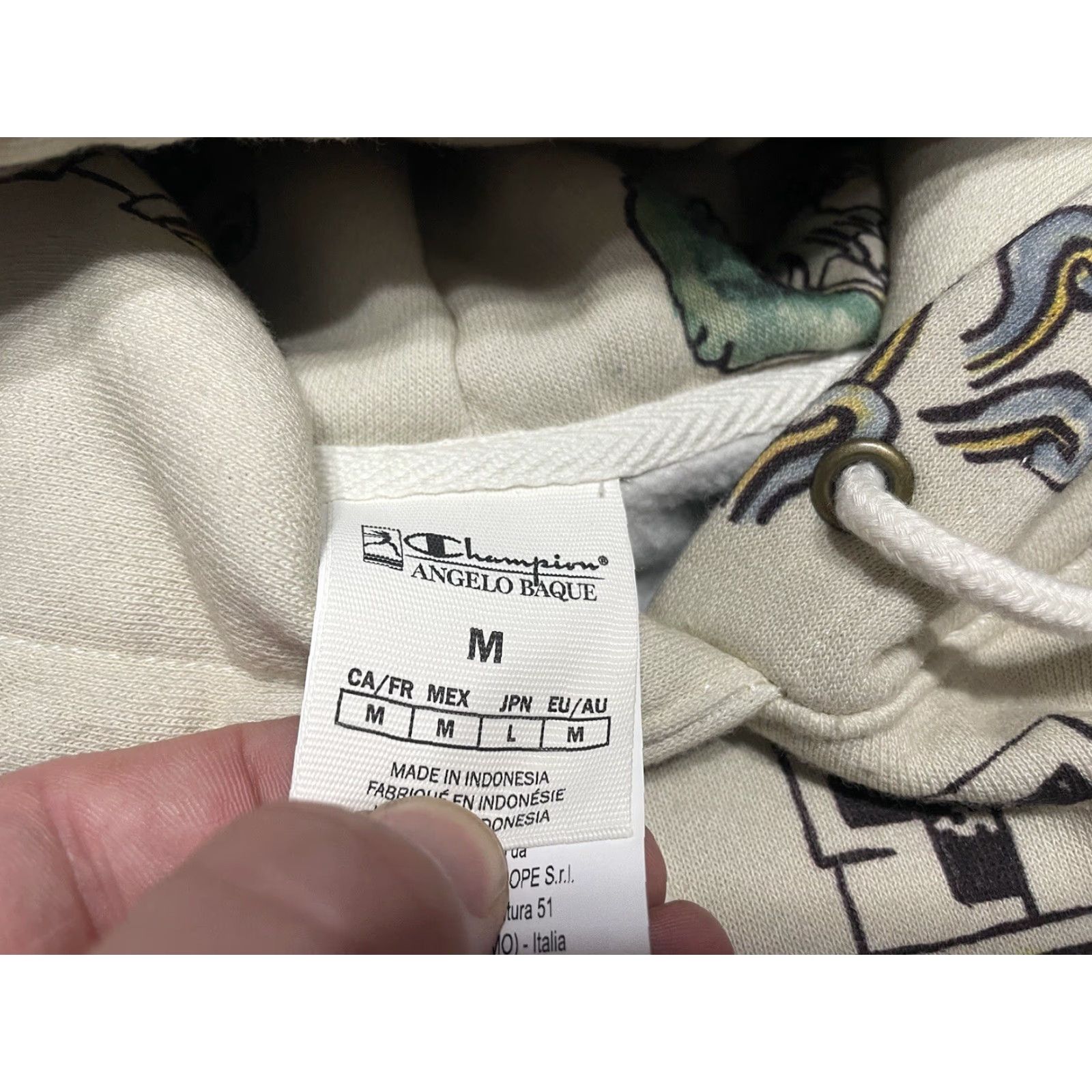 Champion Champion Sweatshirt Hoodie M Adult Multicolor Logo Embroidered Heavyweight Reverse Weave Pullover Crew Neck Long Sleeve Men Size US M / EU 48-50 / 2 - 4 Thumbnail