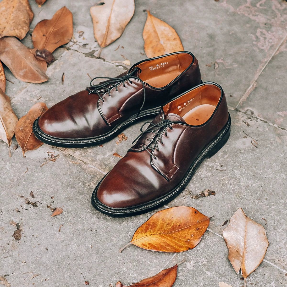Allen Edmonds Allen Edmonds Leeds Derby Shoes Size US 9.5 / EU 42-43 - 1 Thumbnail