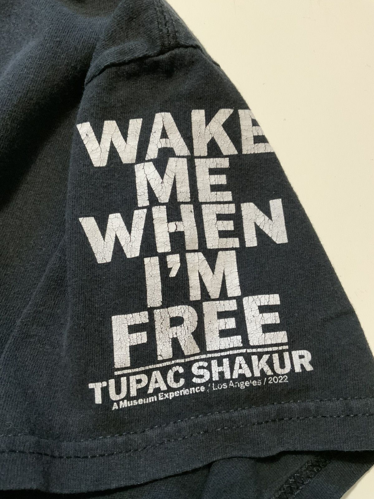 Other Tupac Shakur Wake Me When I’m Free Museum Prophet T-Shirt Size US M / EU 48-50 / 2 - 5 Thumbnail