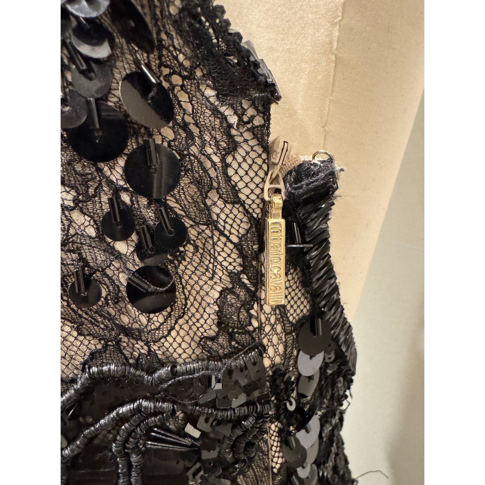 Roberto Cavalli S/S2012 Roberto Cavalli runway maxi lace long dress Size M / US 6-8 / IT 42-44 - 10 Thumbnail