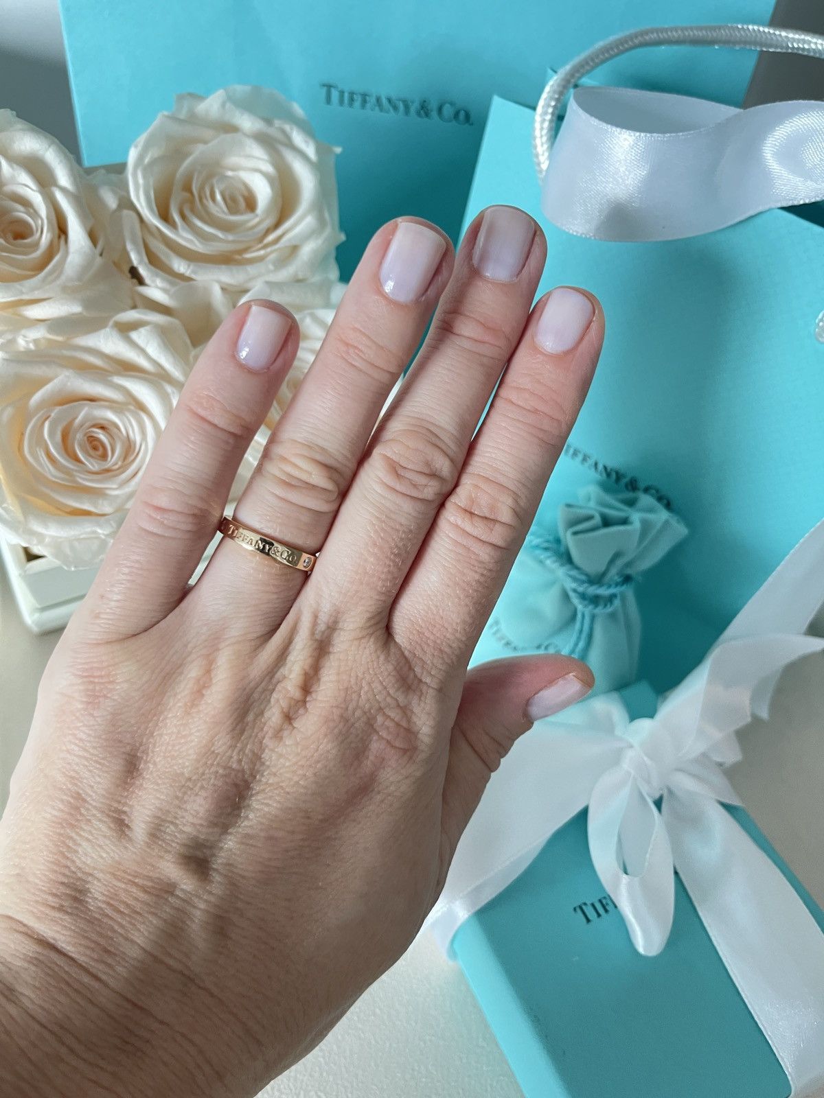 Tiffany & Co. Band Ring with Diamonds RG size 5 NEW $1850