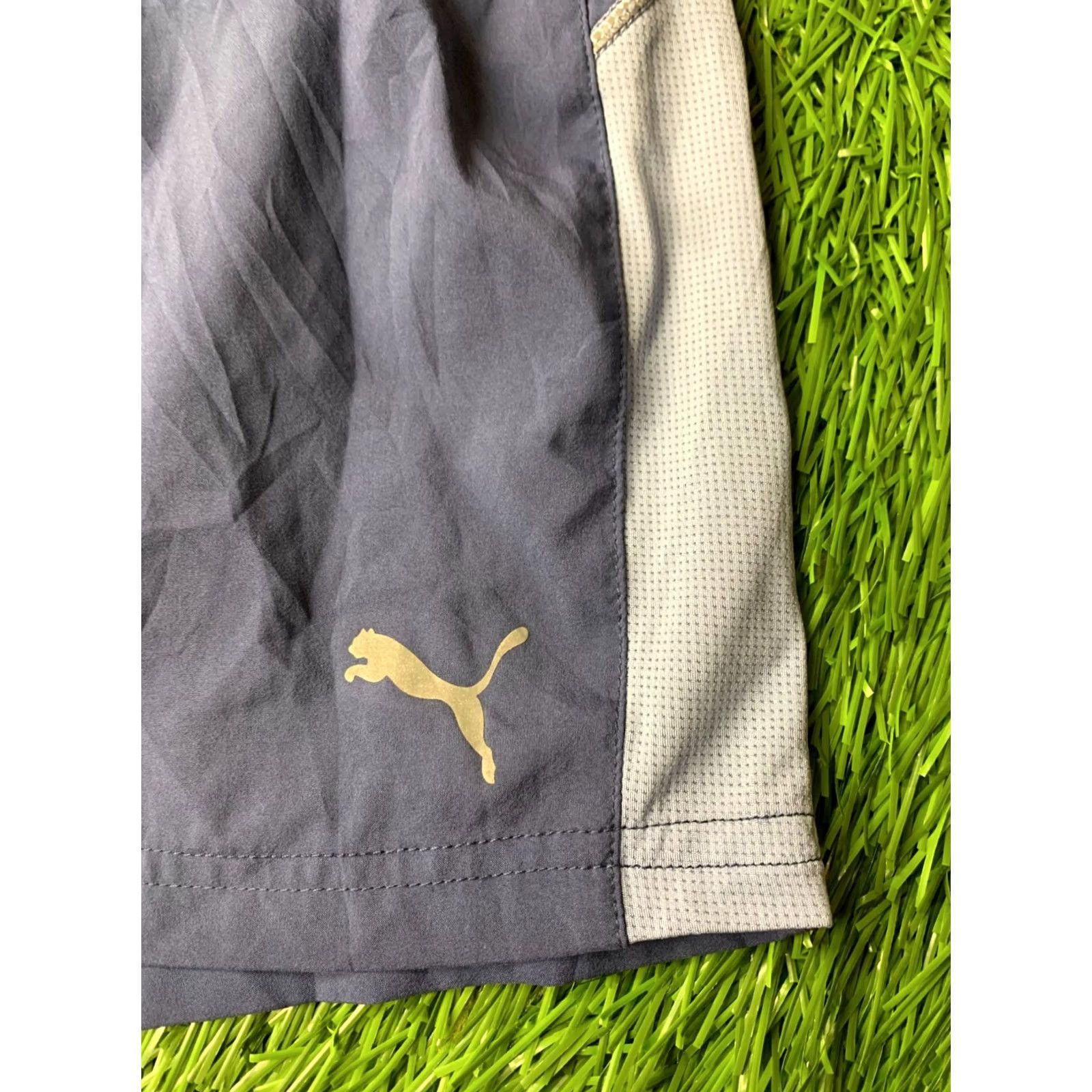 Puma PUMA RUNNING ORIGINAL 2017 MEN RUN SPORT TRAINING SHORTS M BLUE DRYCELL 515013-23 Training Shorts Men Medium Blue 2017 Puma Running Size US 31 - 2 Thumbnail