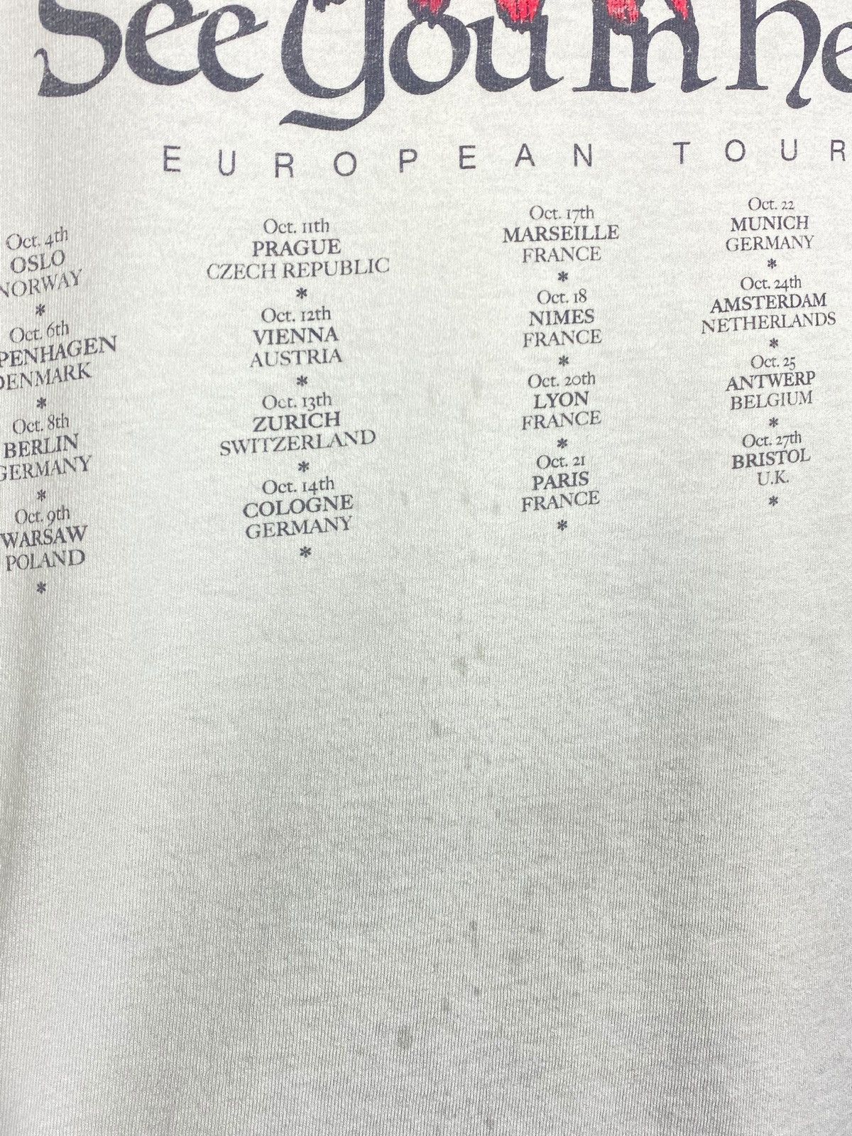 Band Tees 🔥 FLATBUSH ZOMBIES TOUR SHIRT SEE YOU IN HELL VINTAGE STYLE Size US M / EU 48-50 / 2 - 7 Thumbnail