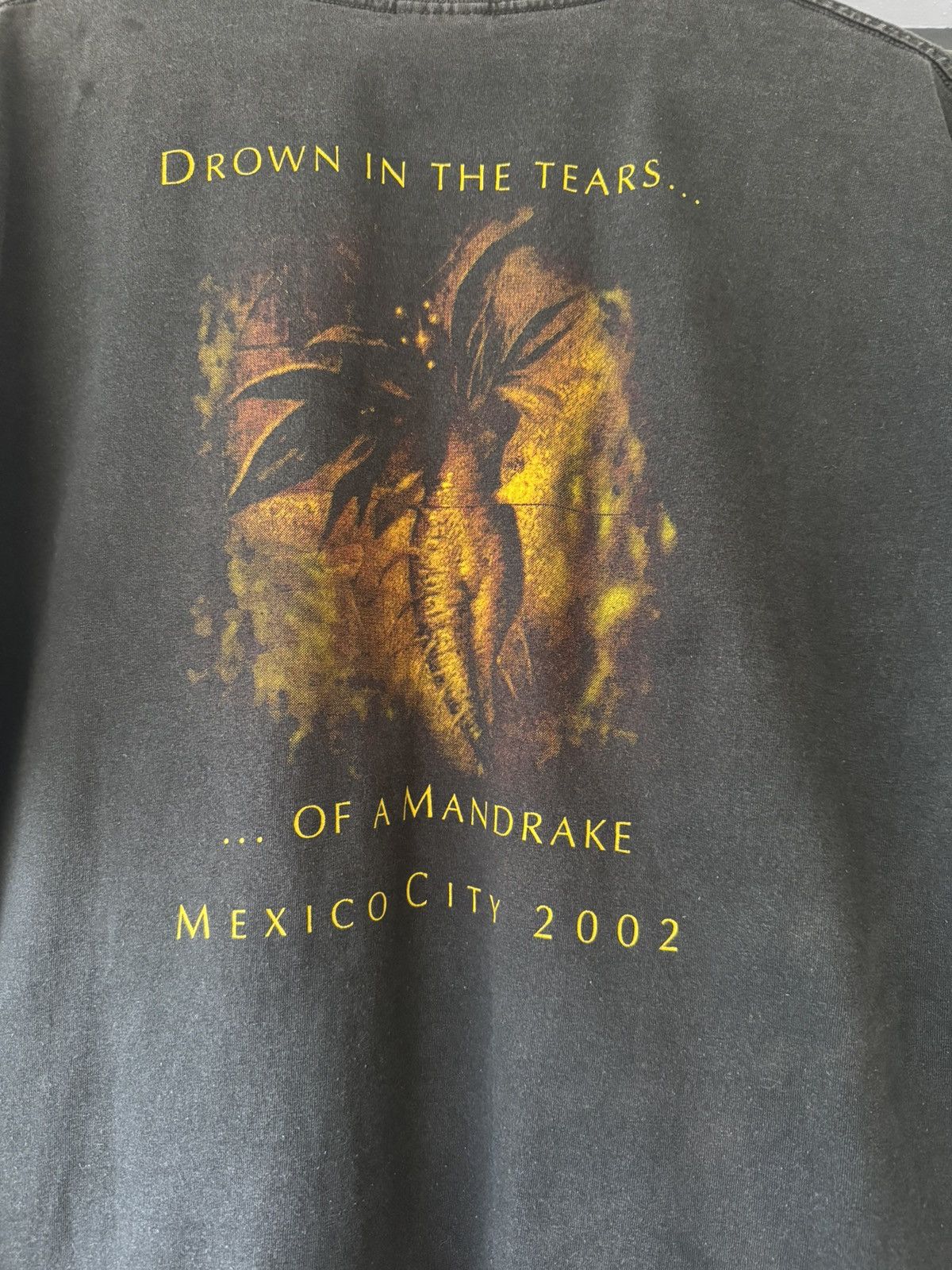 Band Tees × Vintage Vintage 00’s Edguy The Savage Poetry Mexico City Size US XL / EU 56 / 4 - 8 Thumbnail