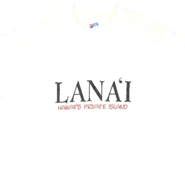 Hanes VINTAGE Lanai Hawaii T Shirt Mens XL White 90s Travel Made In USA Hanes Shirt Mens XL White 90s Travel Hawaii Lanai Size US XL / EU 56 / 4 - 2 Thumbnail