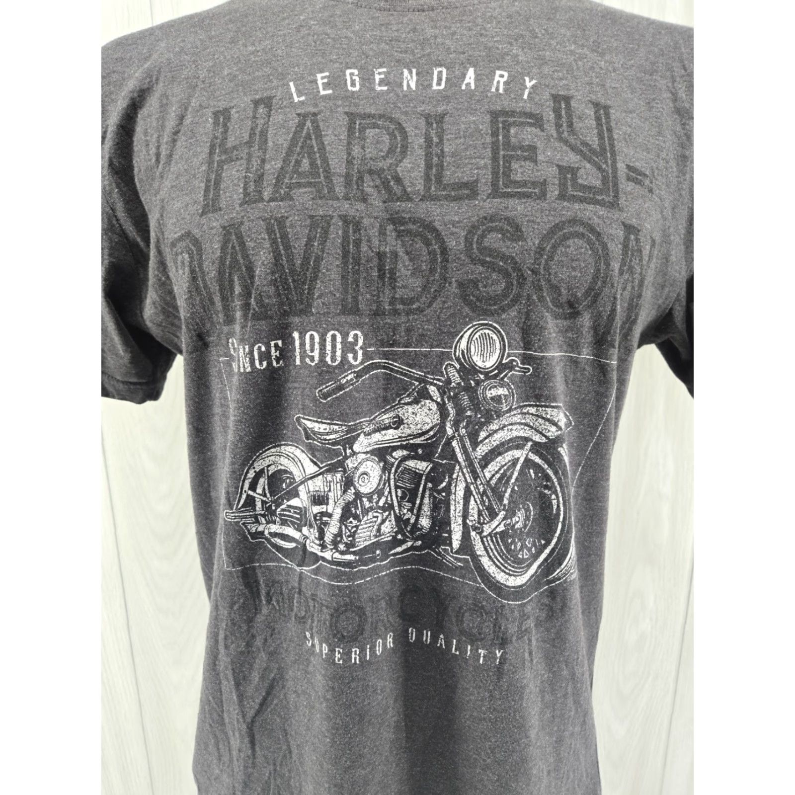 Harley Davidson VINTAGE Harley-Davidson Smoky Mountain Outpost Bryson City NC Graphic Shirt Large Gray Mens T-Shirt City 2000s Size US L / EU 52-54 / 3 - 4 Thumbnail