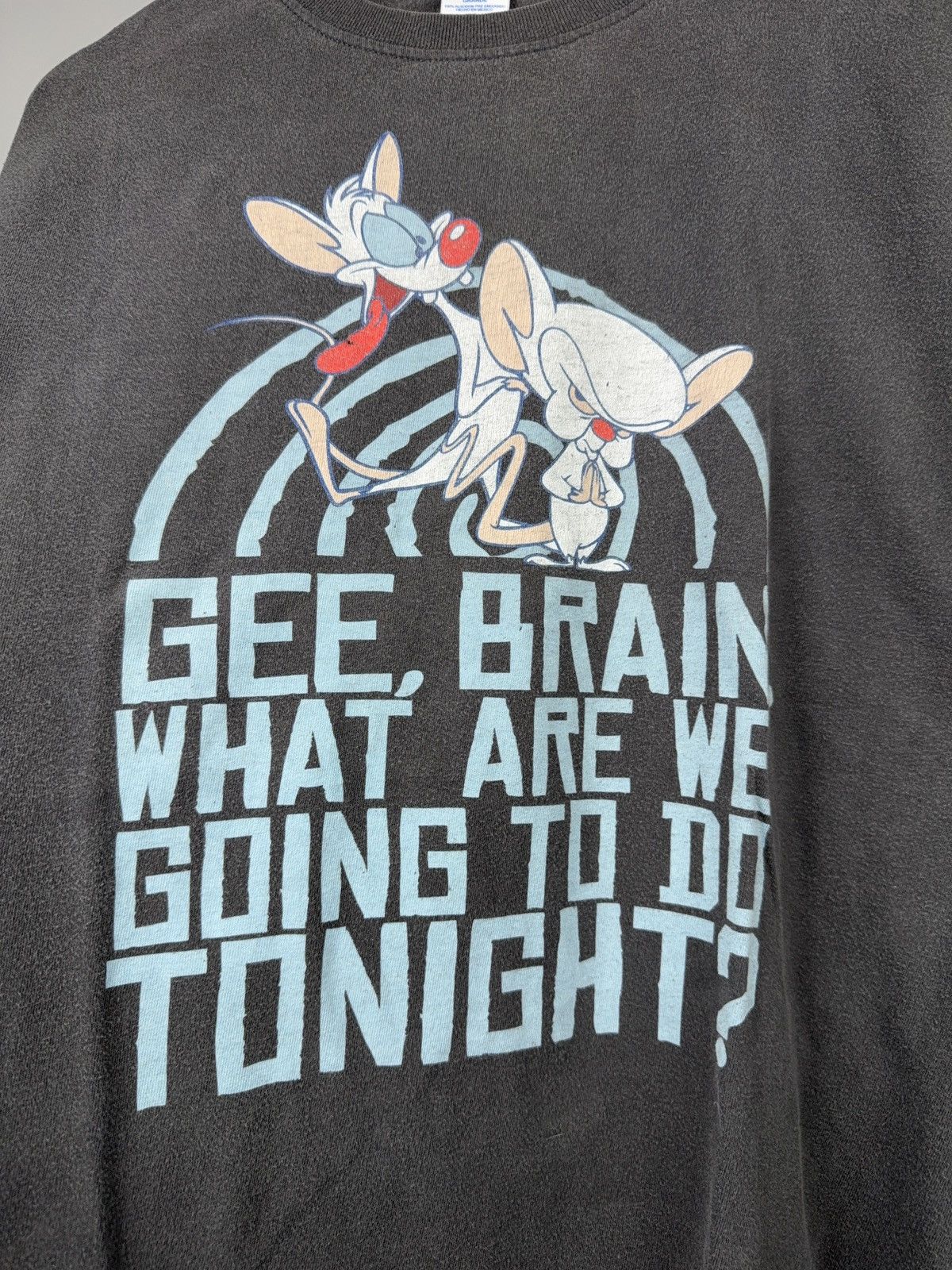 Warner Bros 2007 Pinky and the Brain Vintage Quote Graphic T-Shirt Size US L / EU 52-54 / 3 - 6 Thumbnail