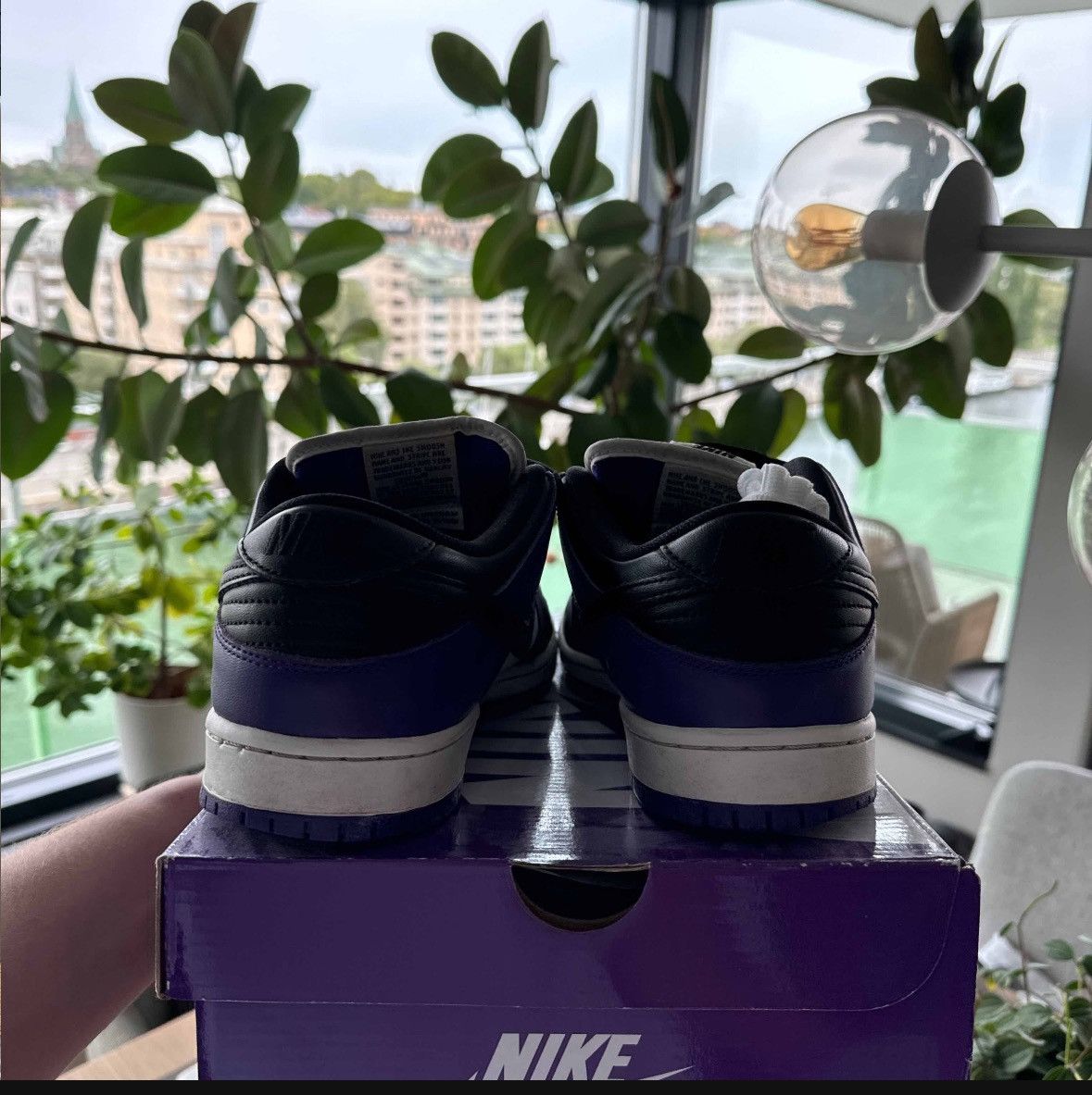Nike Dunk Low SB Court Purple