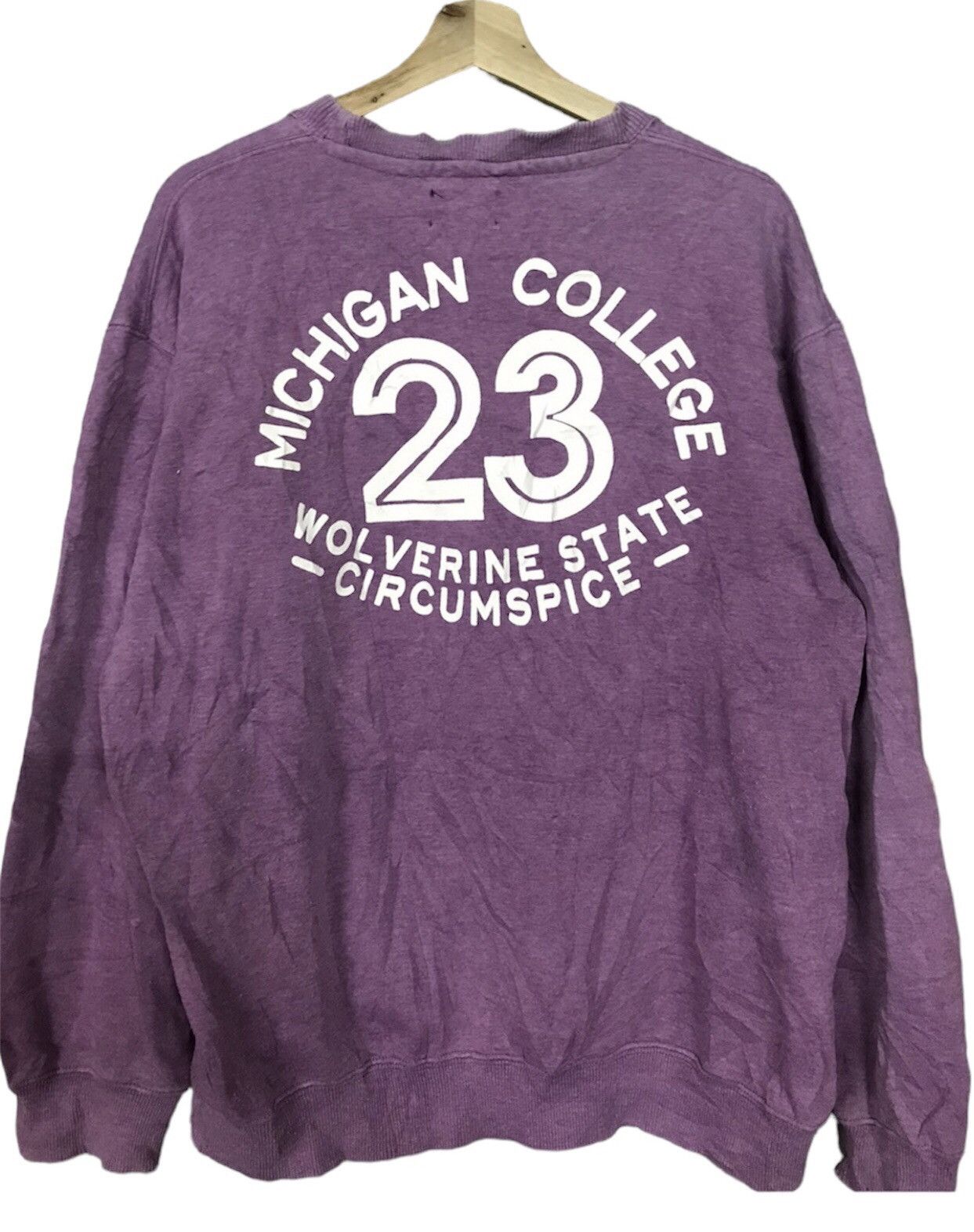 Wolverine Vintage Panhard Michigan College Sweatshirt Crewneck Size US L / EU 52-54 / 3 - 2 Thumbnail