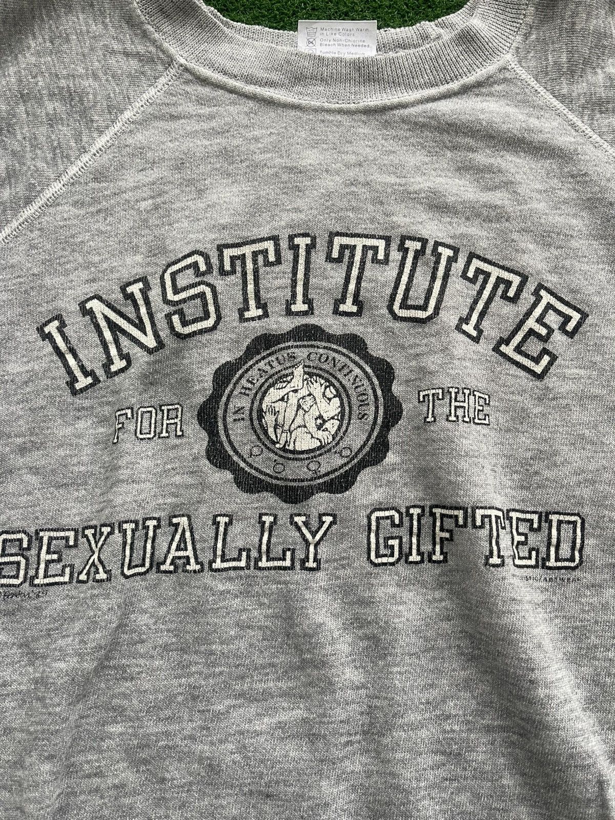 Hanes × Vintage VINTAGE HANES 80S INSTITUTE SEXUALLY GIFTED TEE VERY RARE Size US XL / EU 56 / 4 - 2 Thumbnail