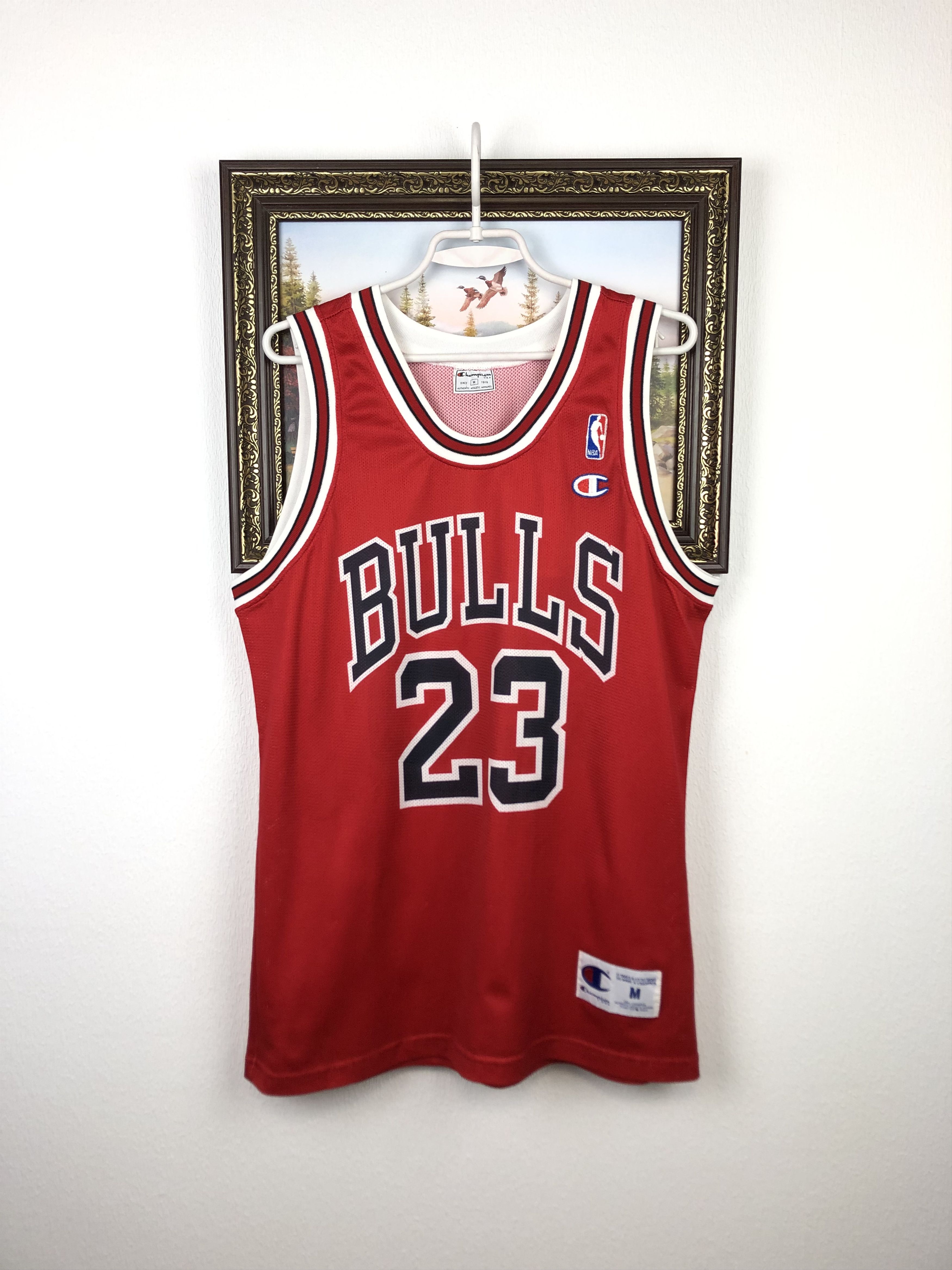 Vintage Champion Chicago Bulls NBA 23 Jordan Jersey Shirt