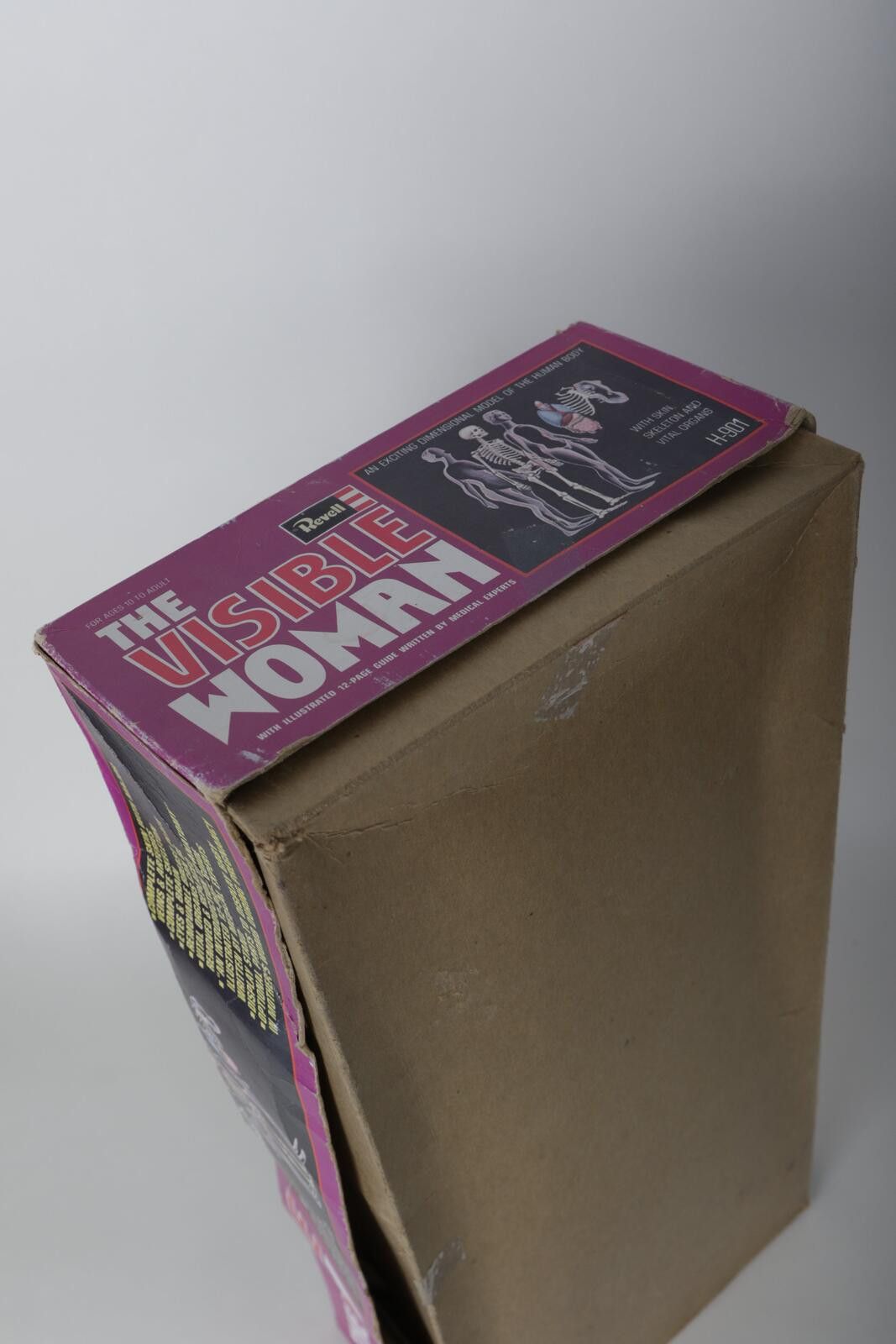 Other 60's Renwal The Invisible Woman Anatomy Model Kit Size ONE SIZE - 5 Thumbnail