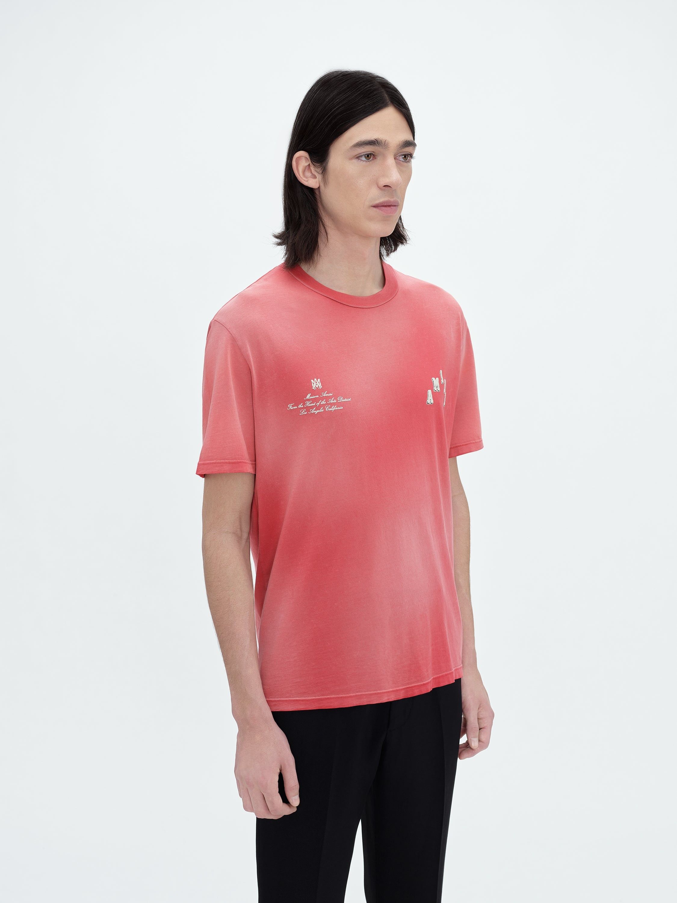 Amiri o1orln1025 Vintage Collegiate T-Shirt in Red Size US M / EU 48-50 / 2 - 3 Thumbnail