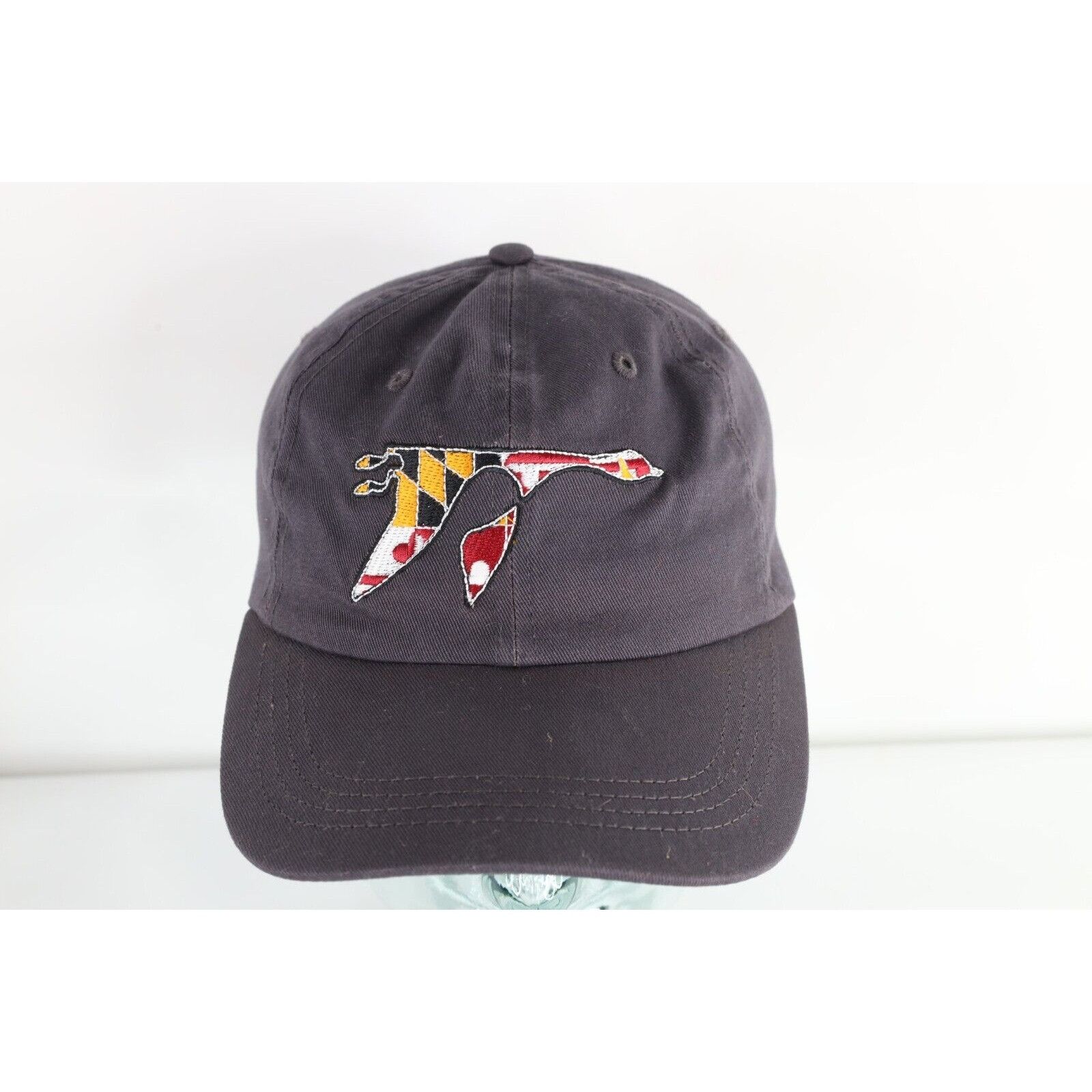 Vintage Vintage Faded Washington College Maryland Flag Hat Size ONE SIZE - 1 Thumbnail