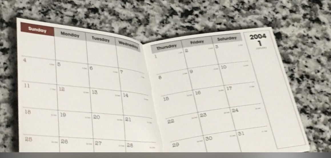 Bape Bape organizer planner notebook calendar Size ONE SIZE - 4 Thumbnail