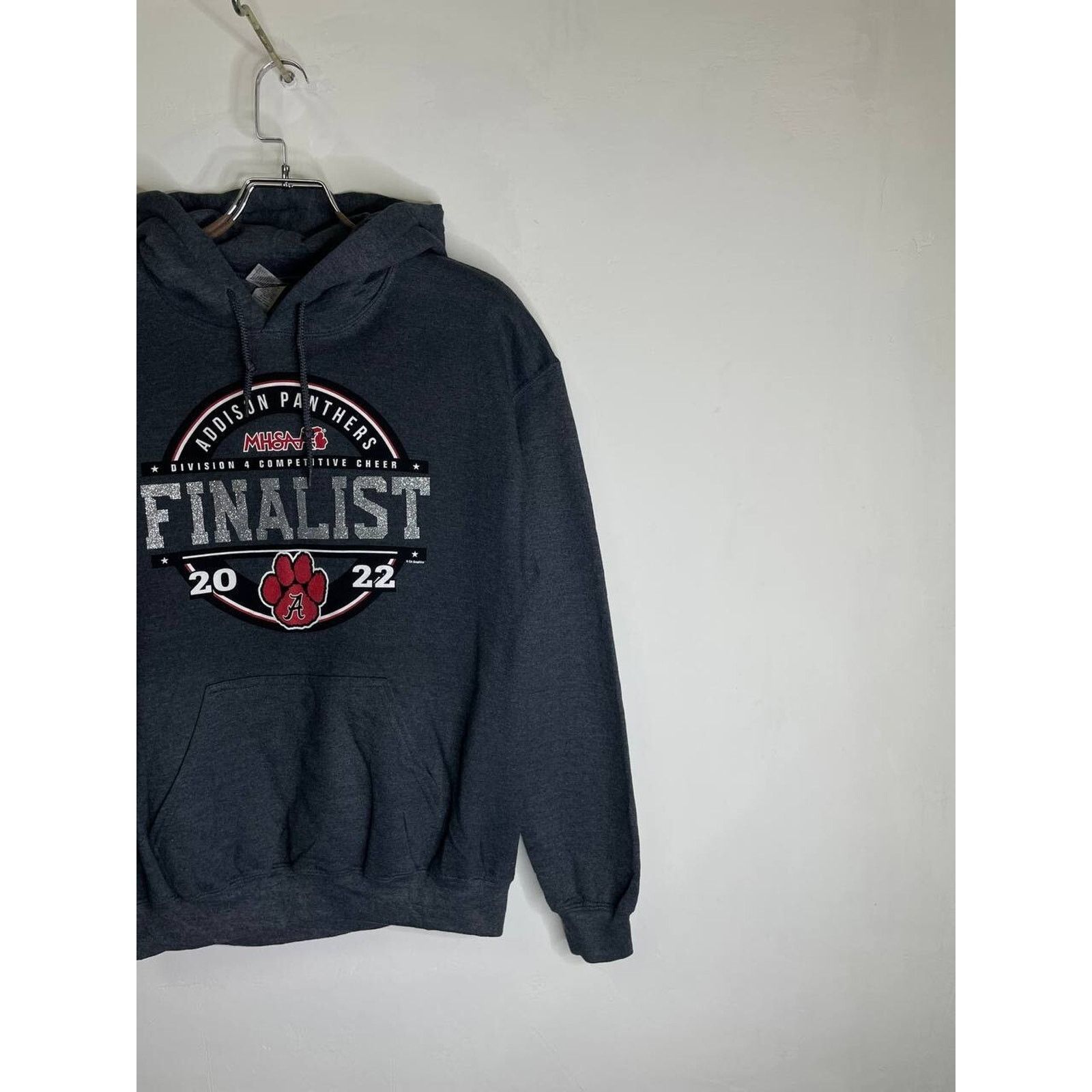 Gildan Vintage Addison Panthers FINALIST Hoodie MHSAA M Size US M / EU 48-50 / 2 - 5 Thumbnail