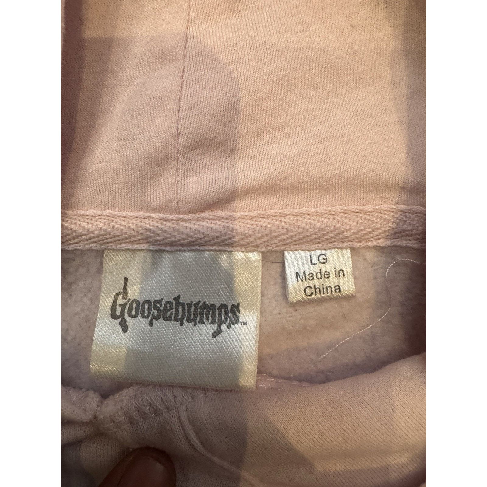 Other Authentic Goosebumps Embroidered Letters CroppedHoodie Large Size L / US 10 / IT 46 - 4 Thumbnail