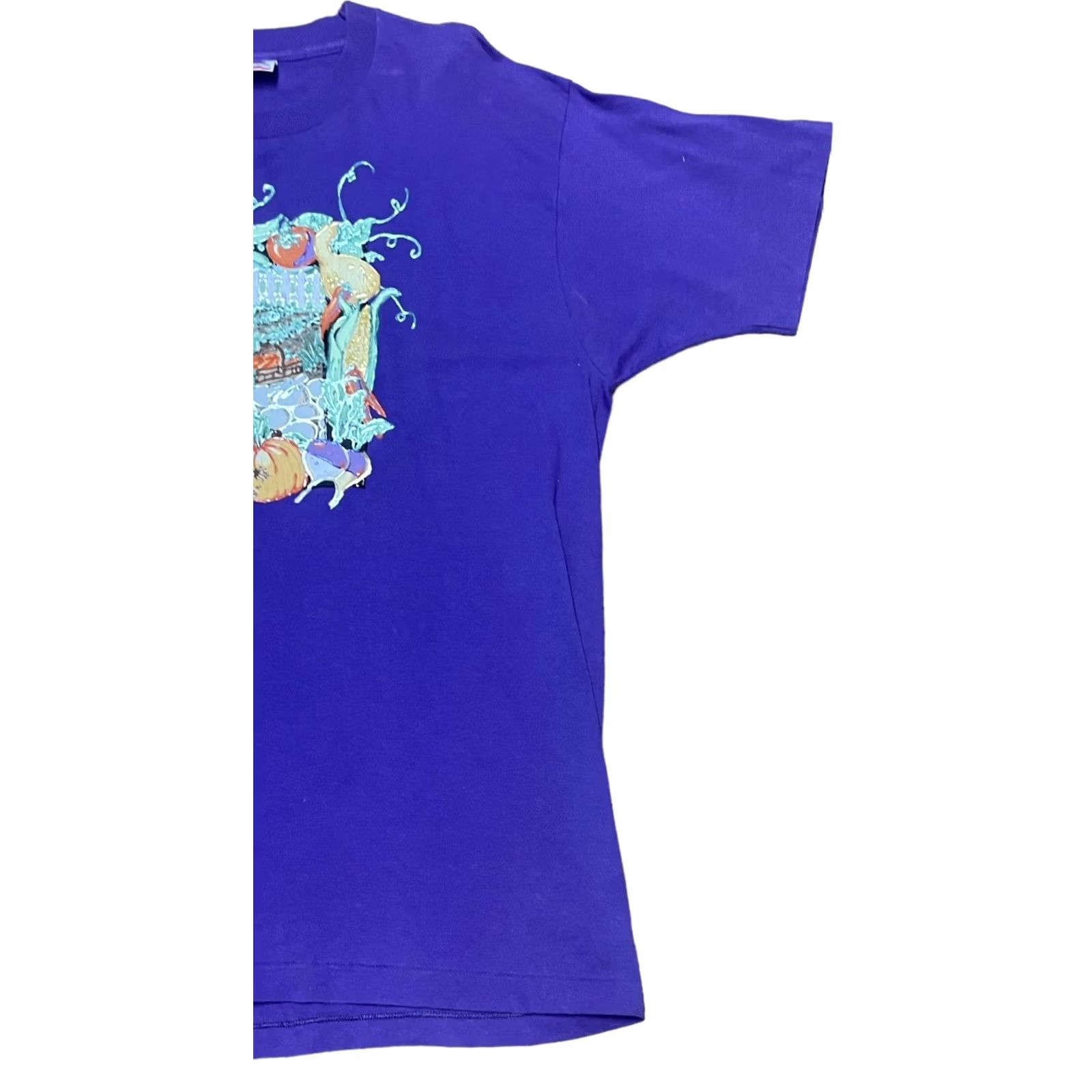 Hanes VINTAGE Hanes Purple Puffy Paint Fall T-Shirt Short Sleeve XL Made In USA Tee Women’s Size XL Graphic Arts & Crafts 1990s Size XL / US 12-14 / IT 48-50 - 2 Thumbnail
