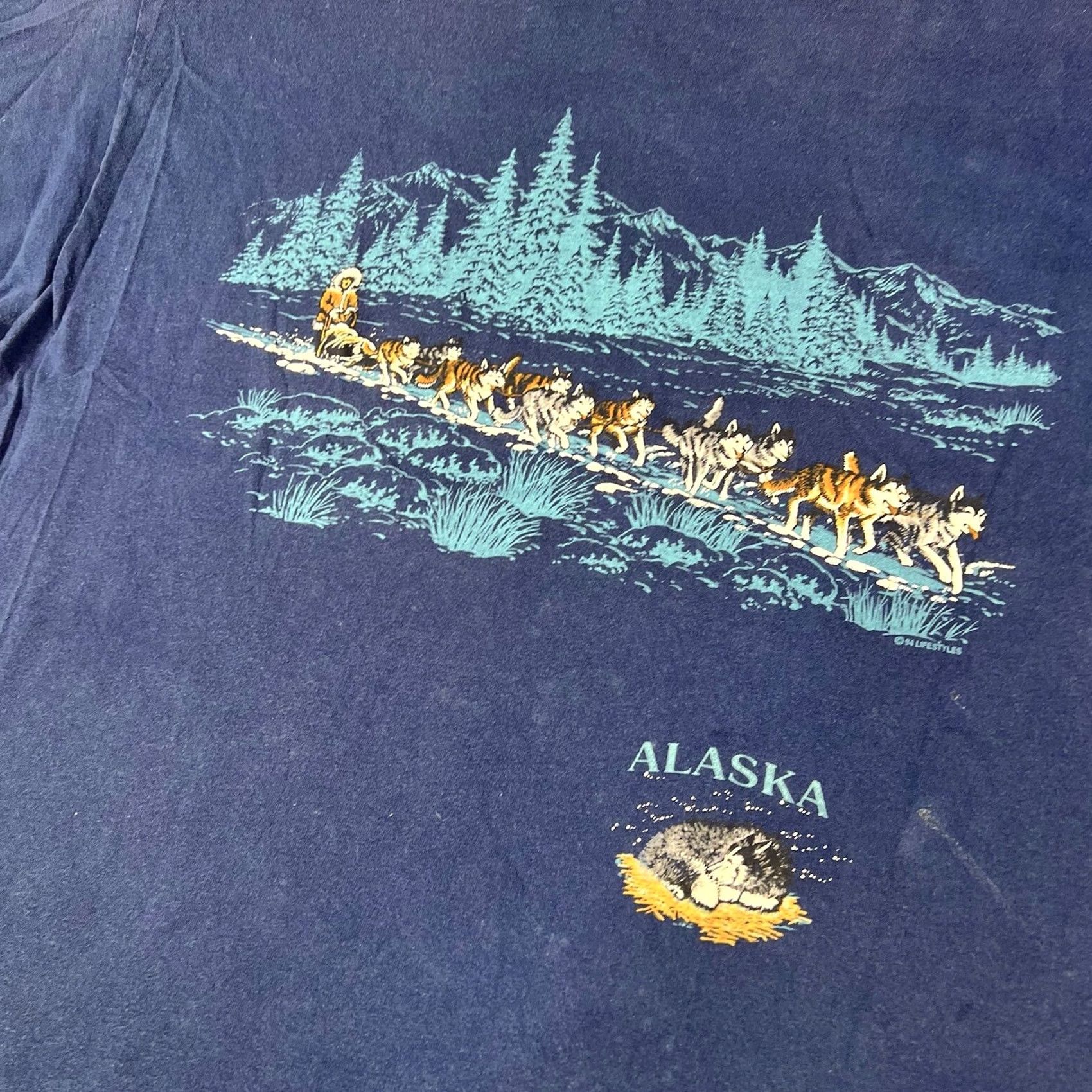 Hanes VINTAGE Hanes 2XL Graphic Tee Shirt Husky Sledding Alaska 90s Winter Dogs Blue Mens/Womens Size US XXL / EU 58 / 5 - 5 Thumbnail