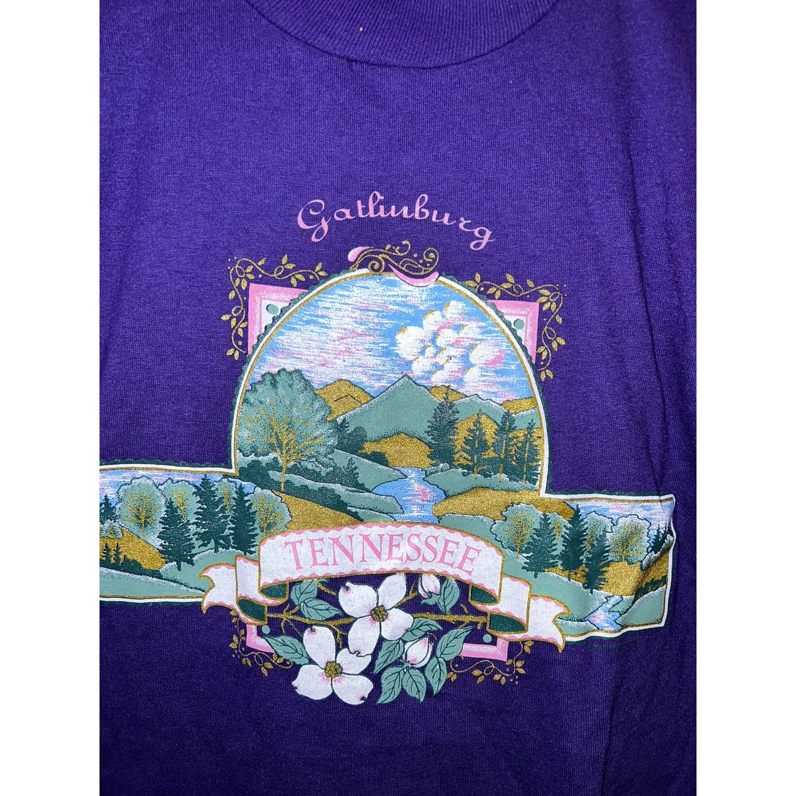 Jerzees Vintage Tennessee Shirt Gatlinburg Purple Graphic Tee 90s S Size US S / EU 44-46 / 1 - 2 Thumbnail