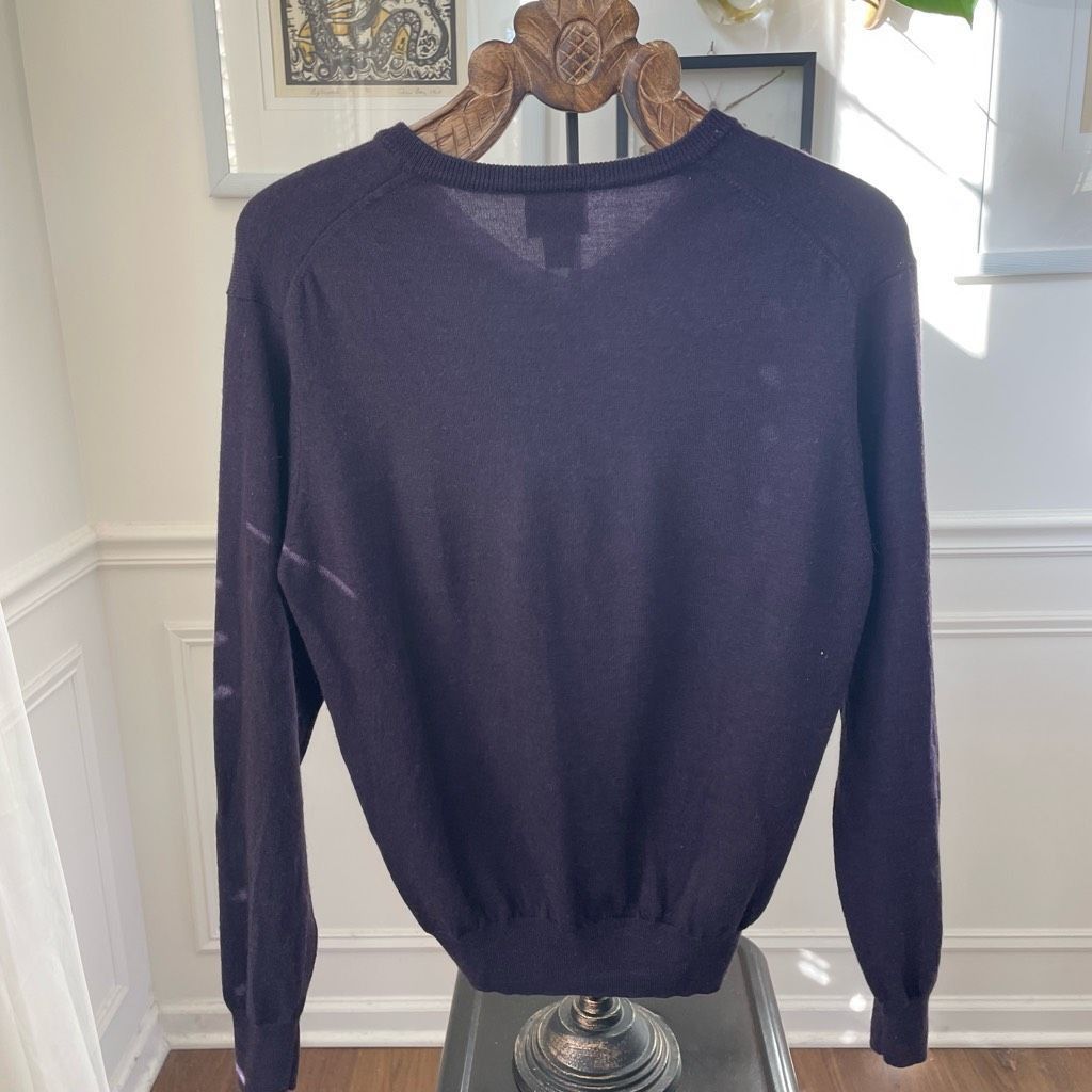 Jos. A. Bank Jos A Bank Eggplant Purple Merino Wool Vneck Sweater M Size US M / EU 48-50 / 2 - 4 Thumbnail