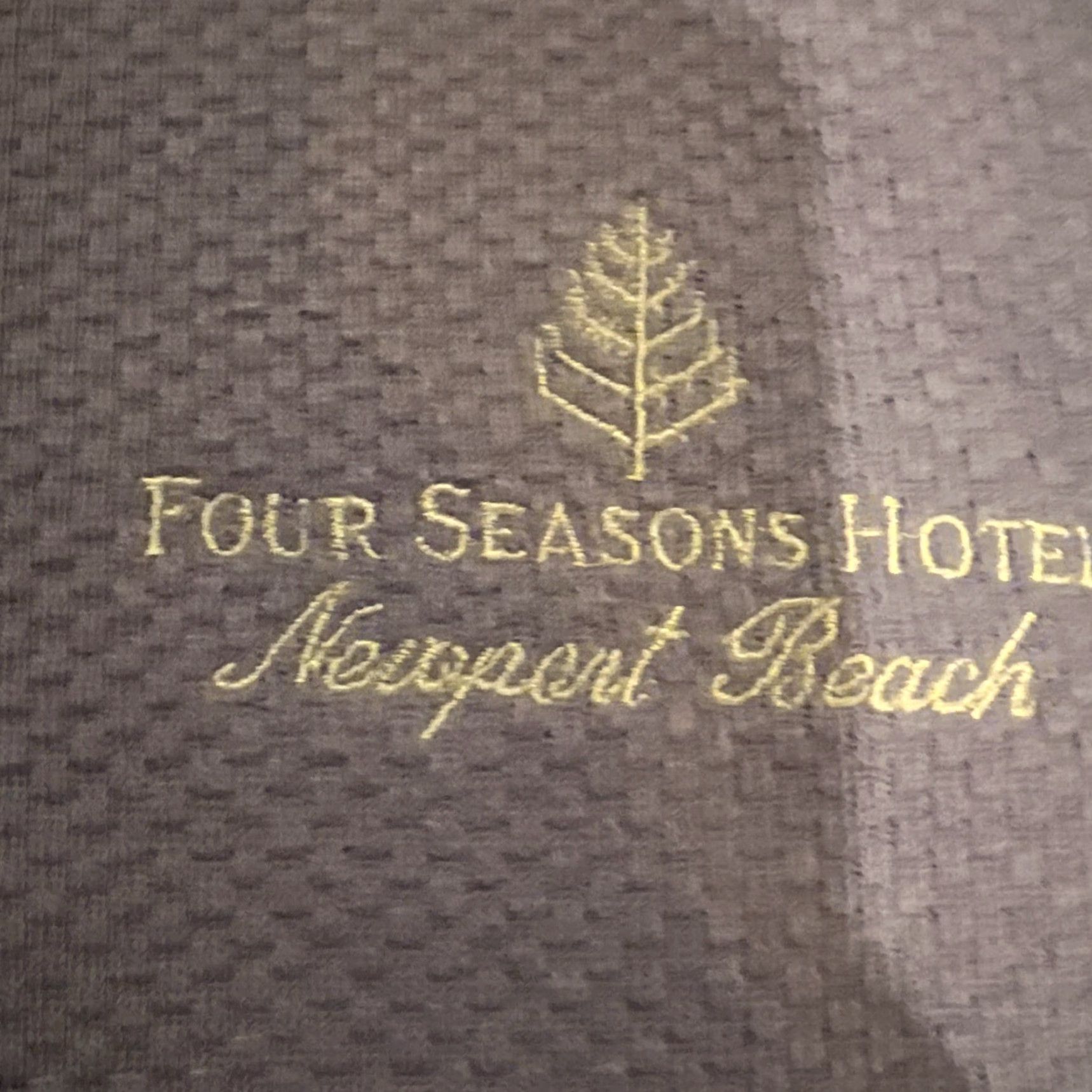 Vintage Four Seasons Resort Shirt Mens Adult Regular Gray Cotton Logo Short Sleeve Vintage Surfer All Seasons Regular Fit T-Shirt Size US L / EU 52-54 / 3 - 3 Thumbnail