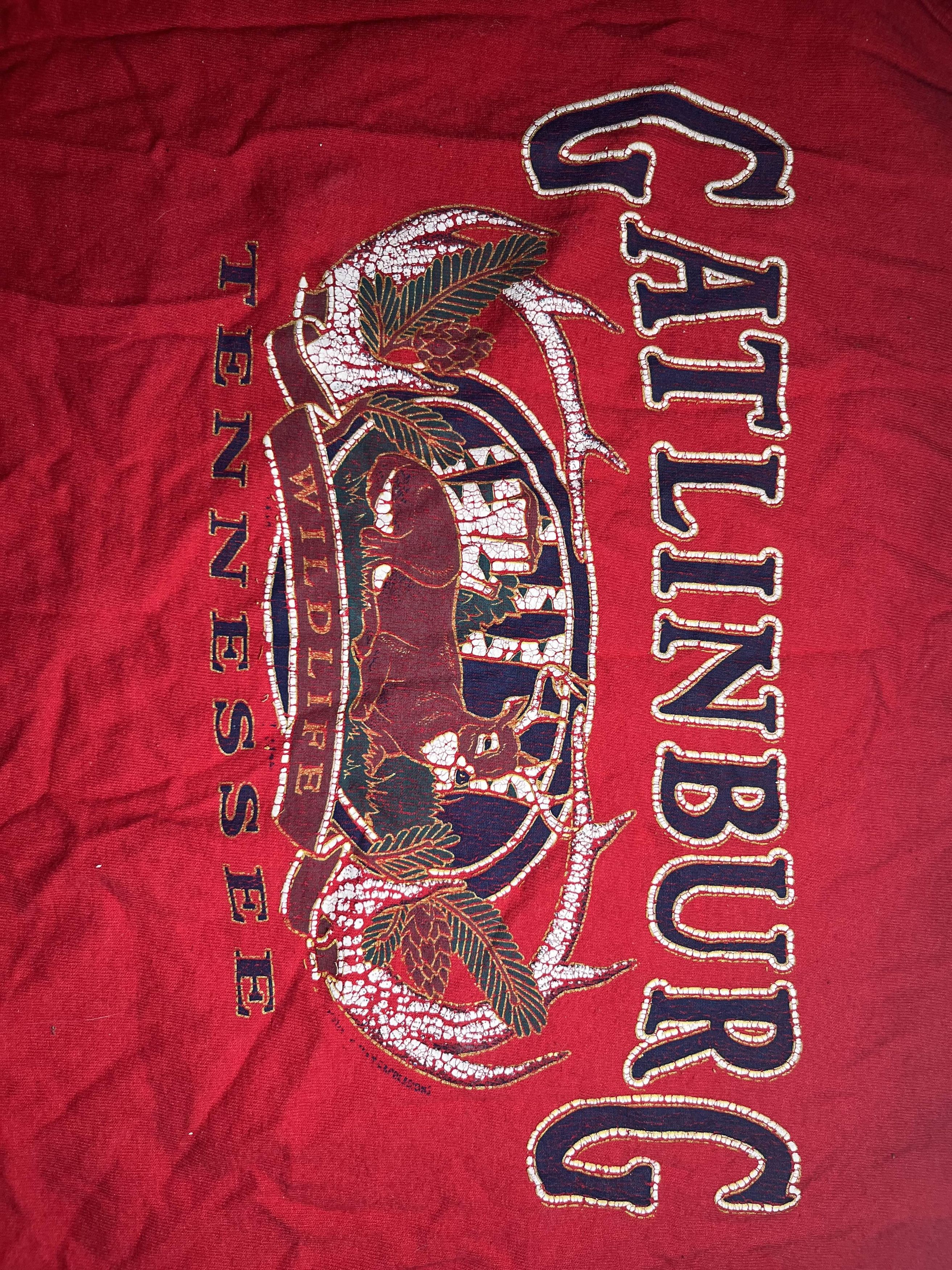 IDK Red Gatlinburg Tank Top Size M / US 6-8 / IT 42-44 - 2 Thumbnail