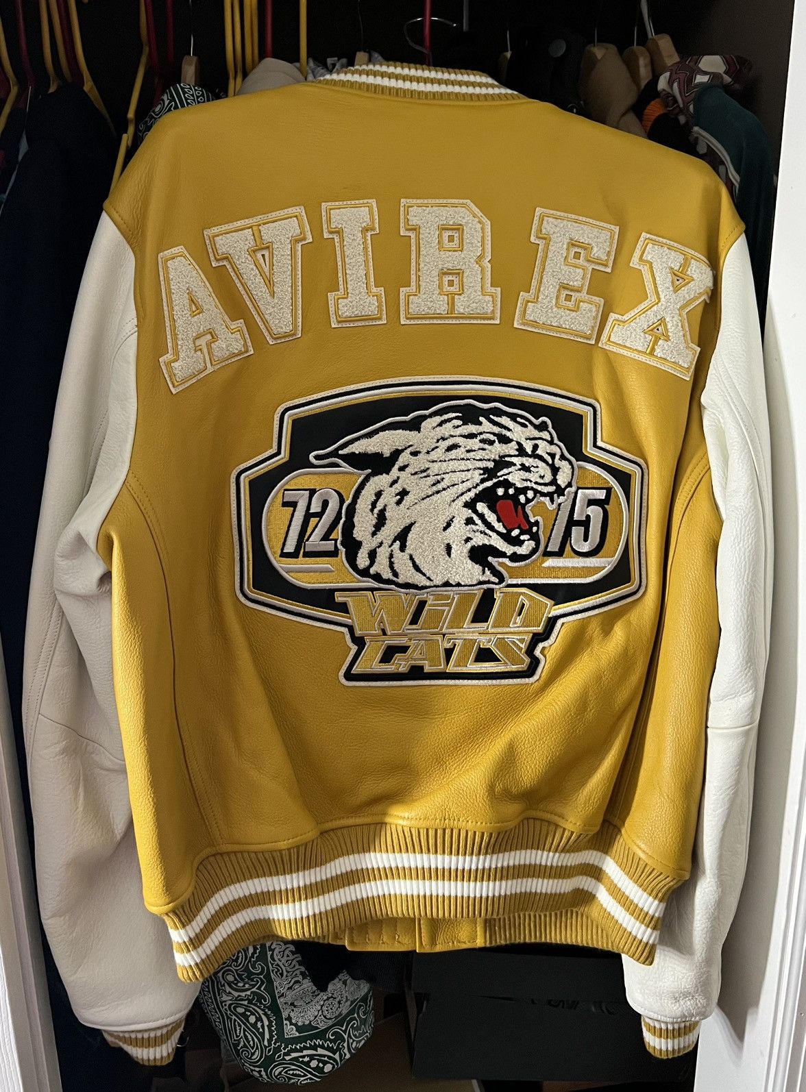 Avirex Avirex Champion Wildcat Full-Zip Varsity Jacket size Large Size US L / EU 52-54 / 3 - 4 Thumbnail