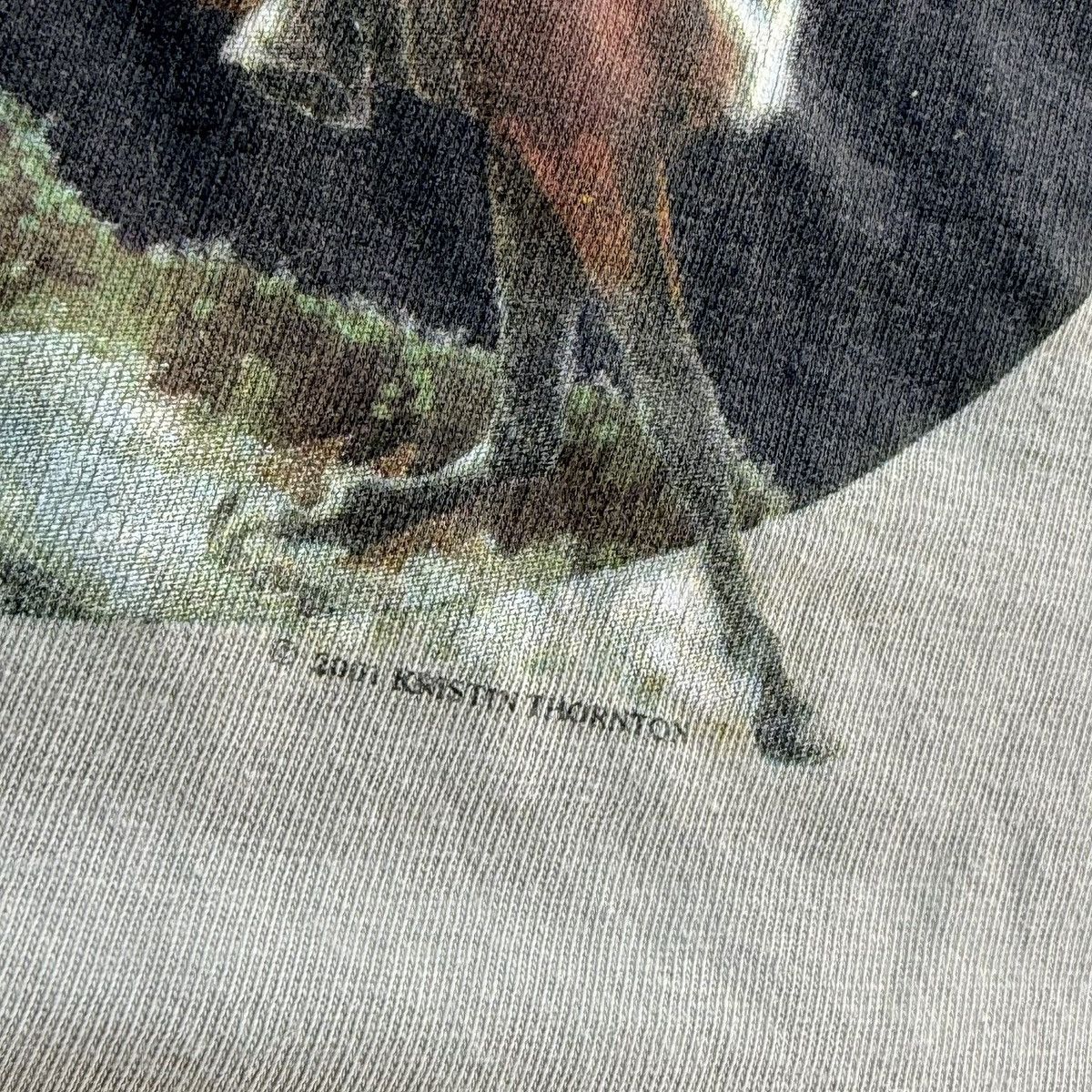 Hanes Vintage 2001 Tevis Cup T Shirt Size XL Equestrian Size US XL / EU 56 / 4 - 3 Thumbnail