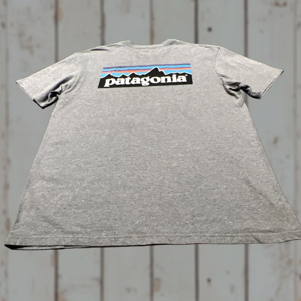 Patagonia Patagonia Shirt Mens Large L Gray Graphic Tee Size US L / EU 52-54 / 3 - 1 Thumbnail
